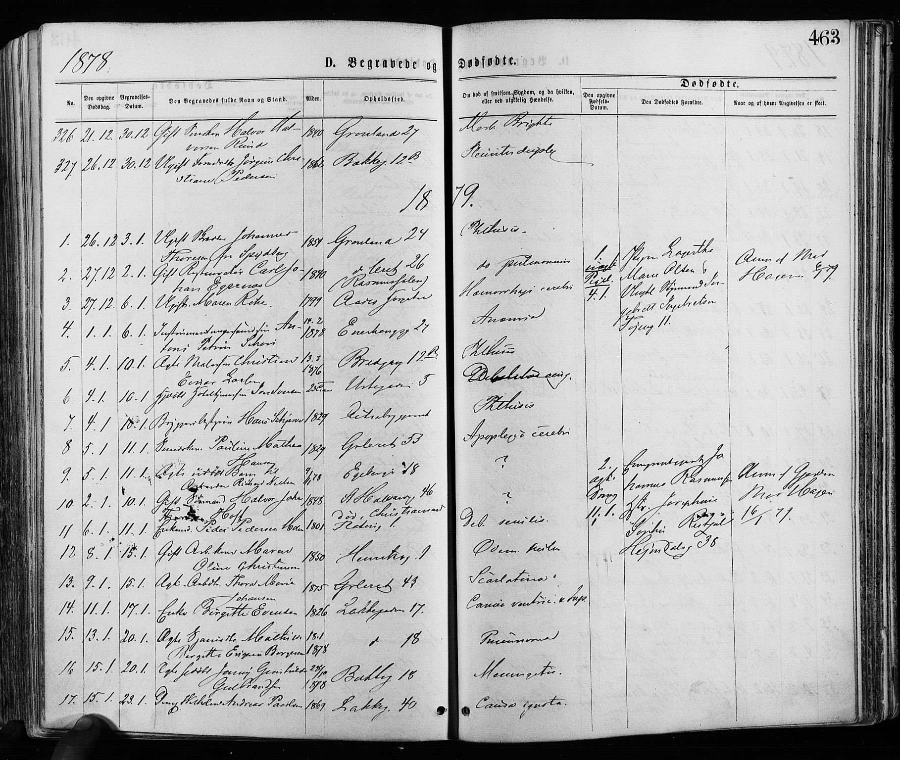 Grønland prestekontor Kirkebøker, SAO/A-10848/F/Fa/L0005: Ministerialbok nr. 5, 1869-1880, s. 463