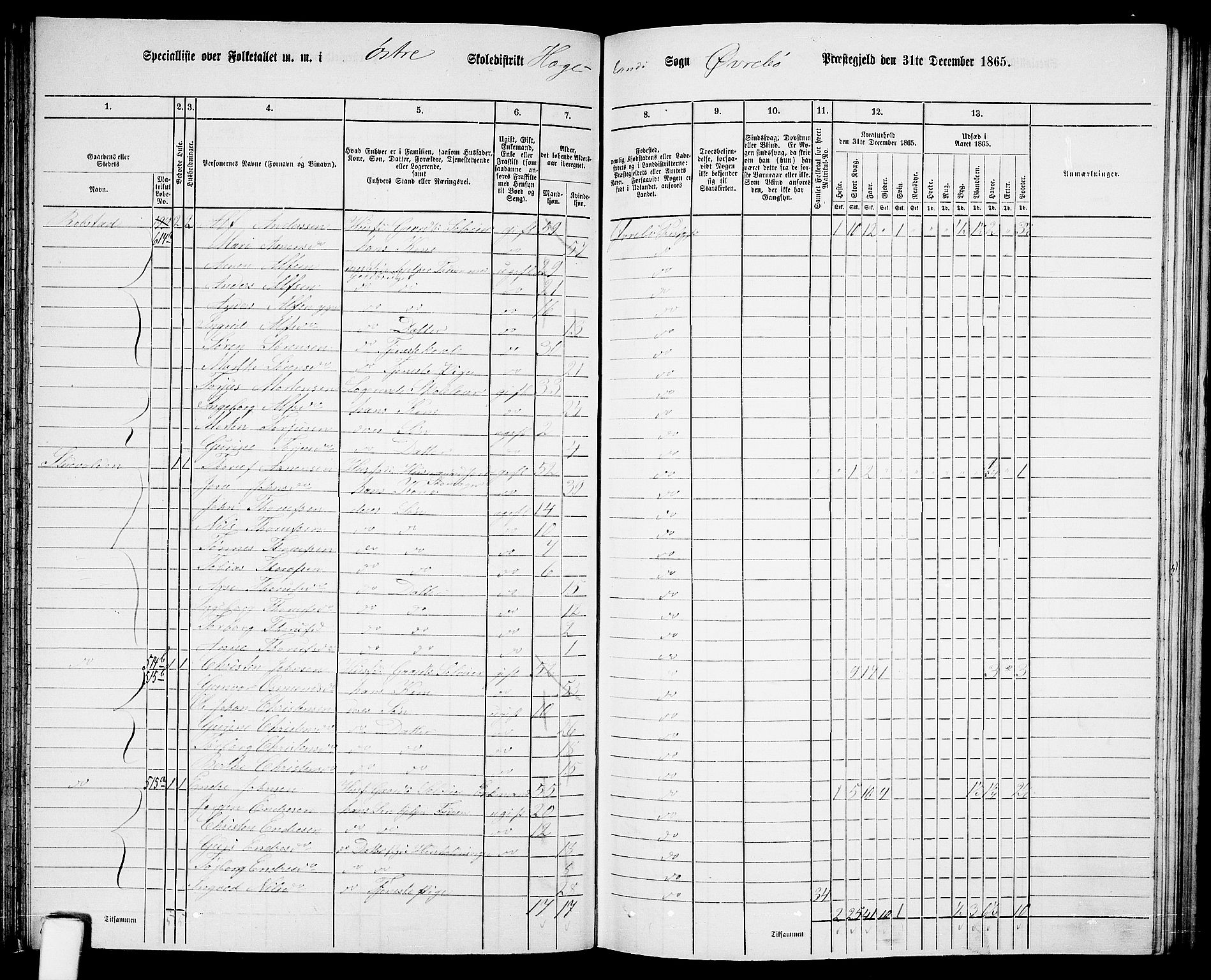 RA, Folketelling 1865 for 1016P Øvrebø prestegjeld, 1865, s. 72