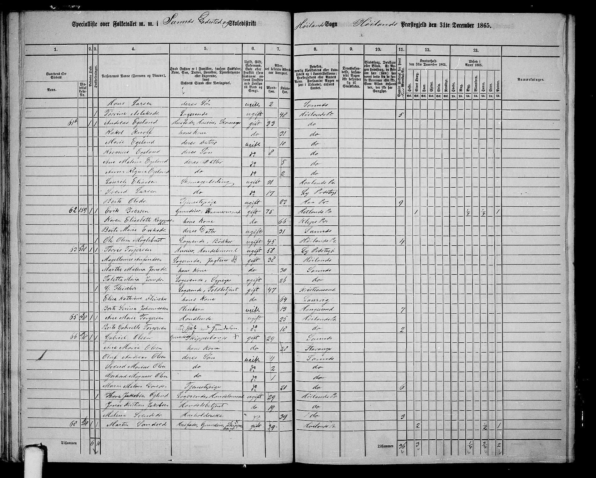 RA, Folketelling 1865 for 1123P Høyland prestegjeld, 1865, s. 166