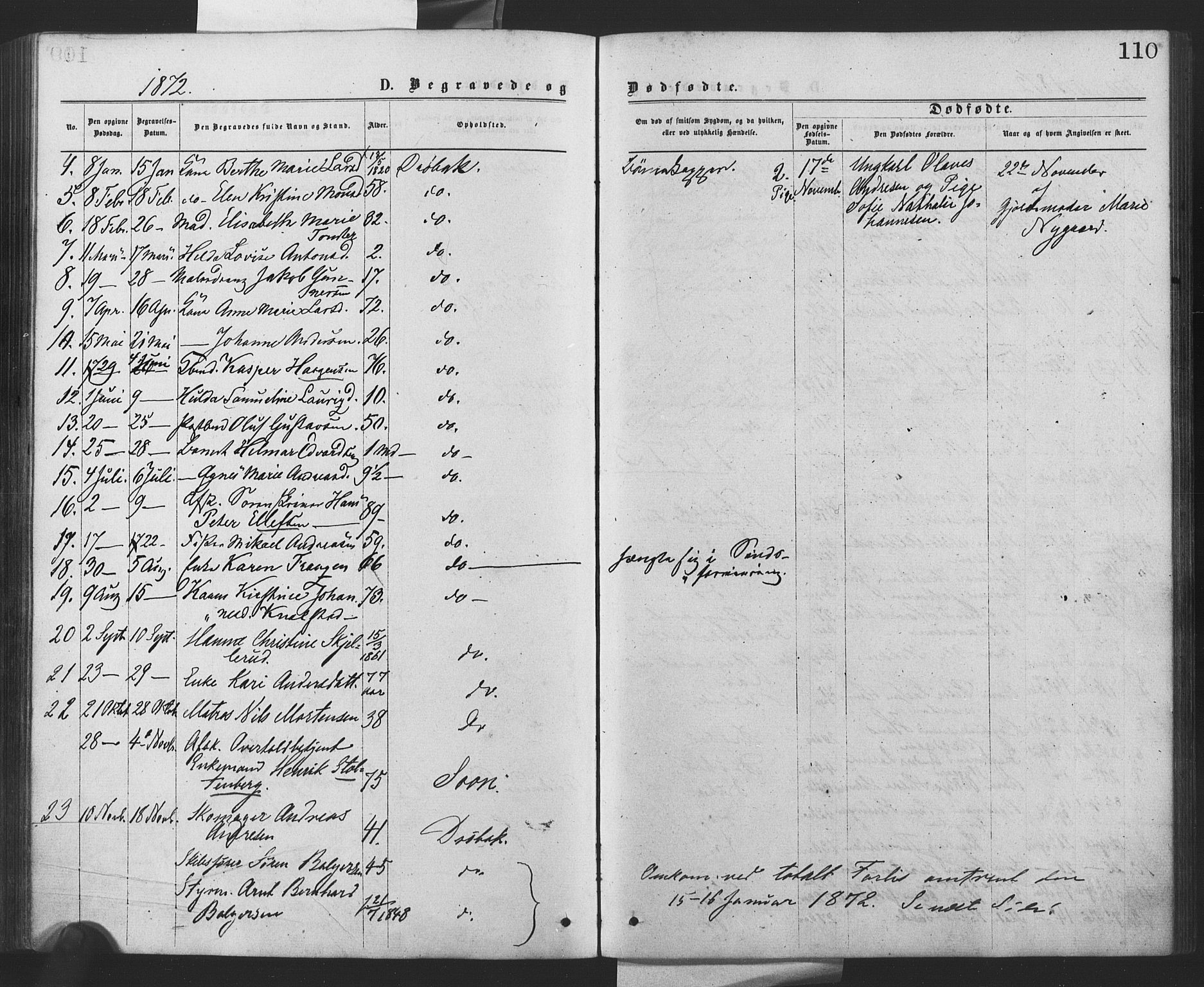 Drøbak prestekontor Kirkebøker, AV/SAO-A-10142a/F/Fa/L0003: Ministerialbok nr. I 3, 1871-1877, s. 110
