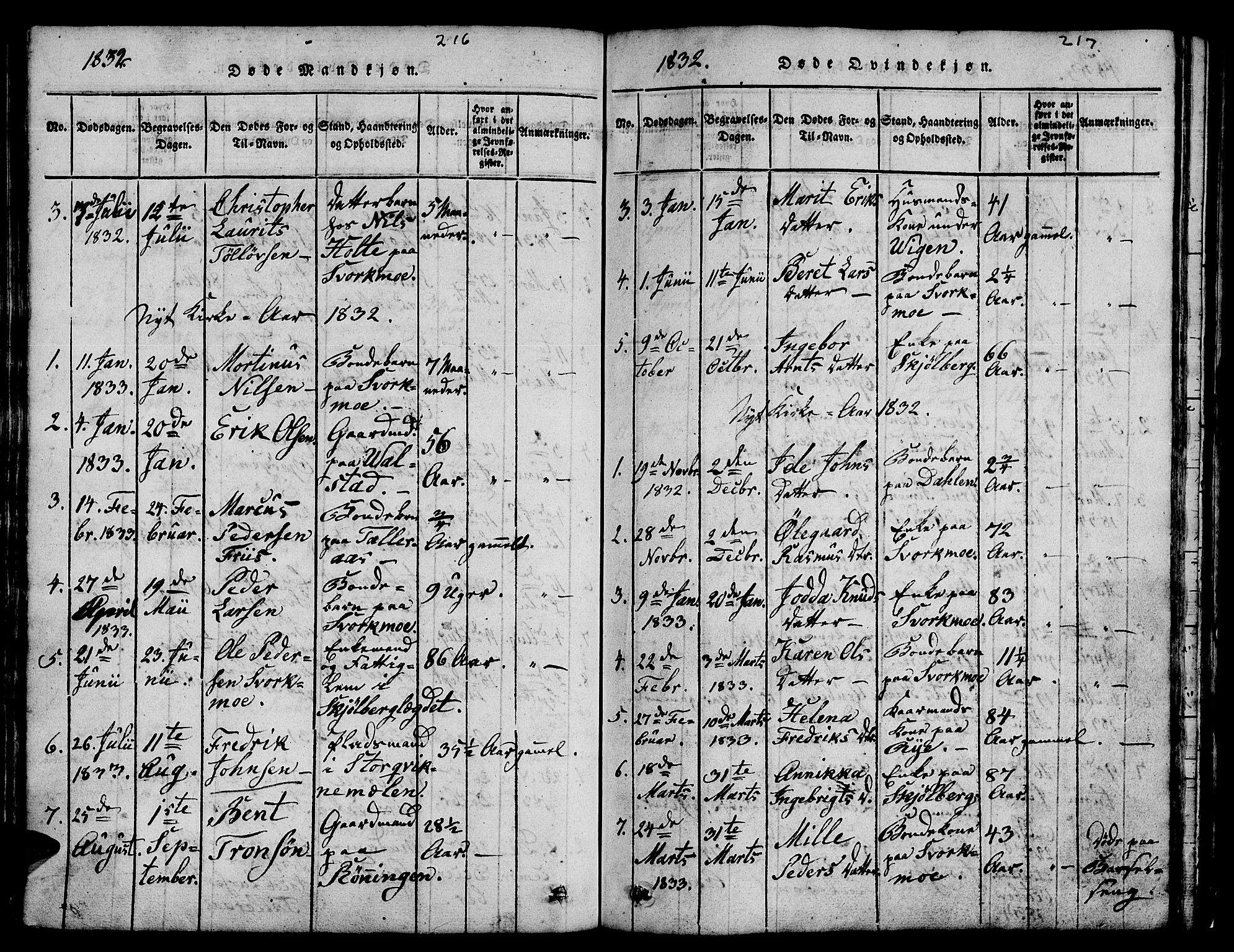 Ministerialprotokoller, klokkerbøker og fødselsregistre - Sør-Trøndelag, AV/SAT-A-1456/671/L0842: Klokkerbok nr. 671C01, 1816-1867, s. 216-217