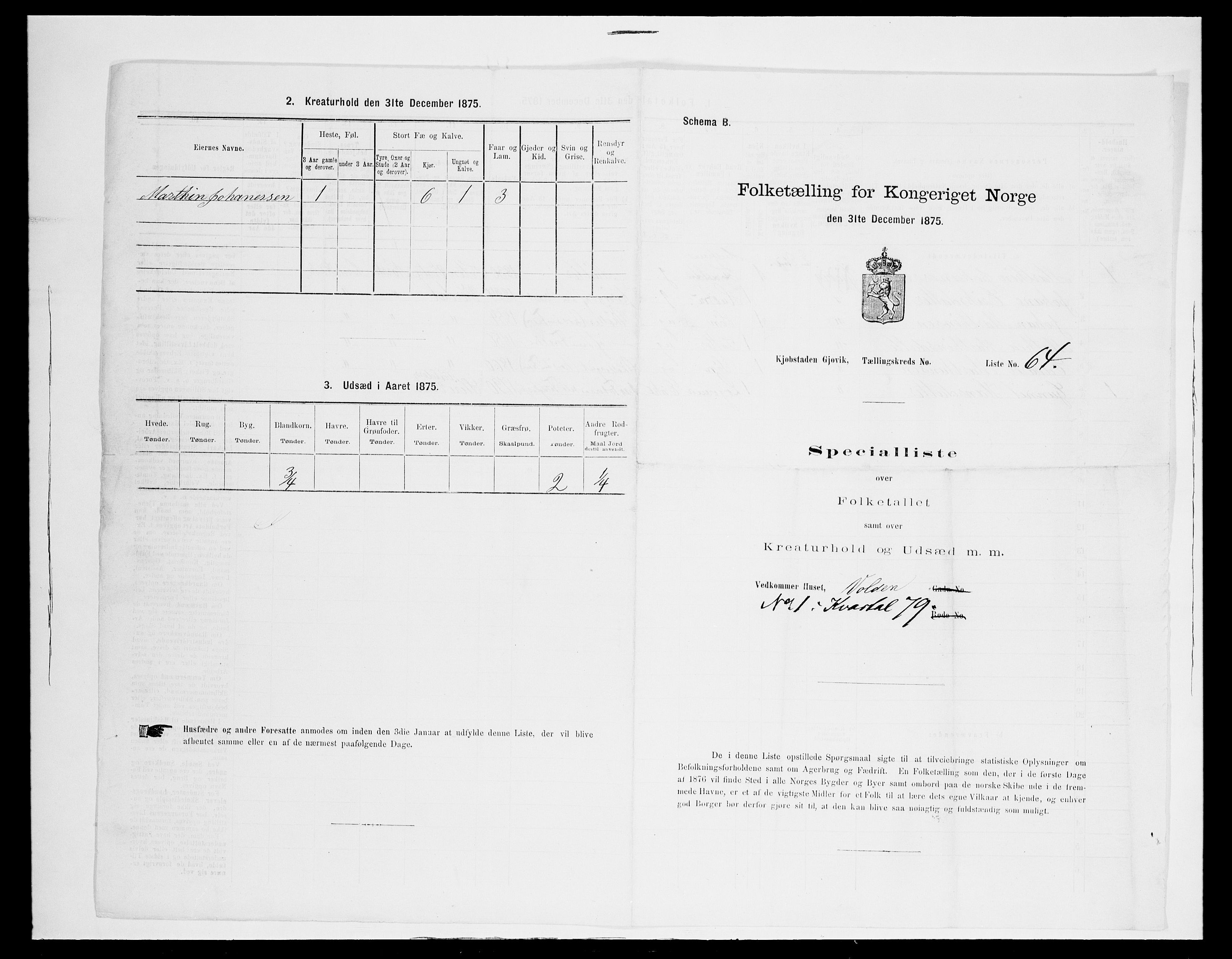 SAH, Folketelling 1875 for 0502B Vardal prestegjeld, Gjøvik kjøpstad, 1875, s. 180