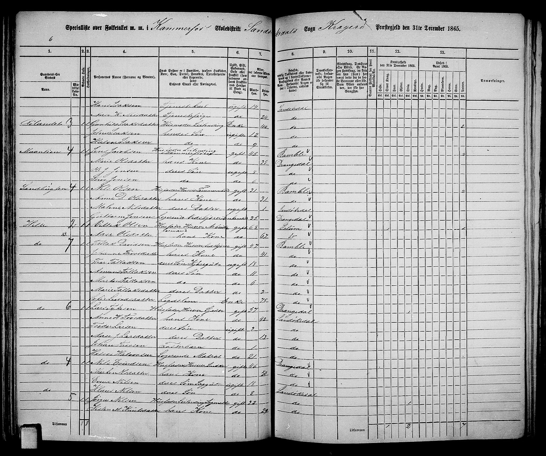 RA, Folketelling 1865 for 0816L Kragerø prestegjeld, Sannidal sokn og Skåtøy sokn, 1865, s. 83