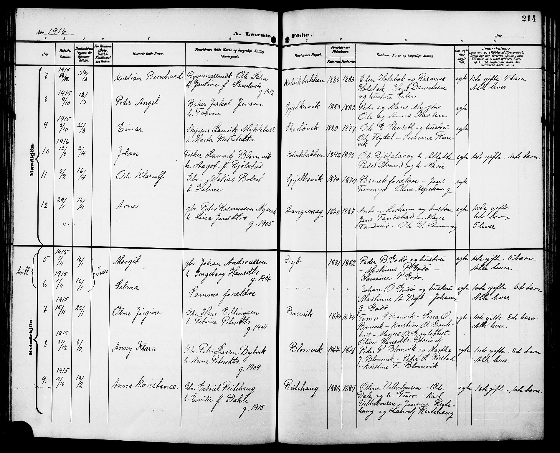 Ministerialprotokoller, klokkerbøker og fødselsregistre - Møre og Romsdal, AV/SAT-A-1454/528/L0432: Klokkerbok nr. 528C13, 1898-1918, s. 214