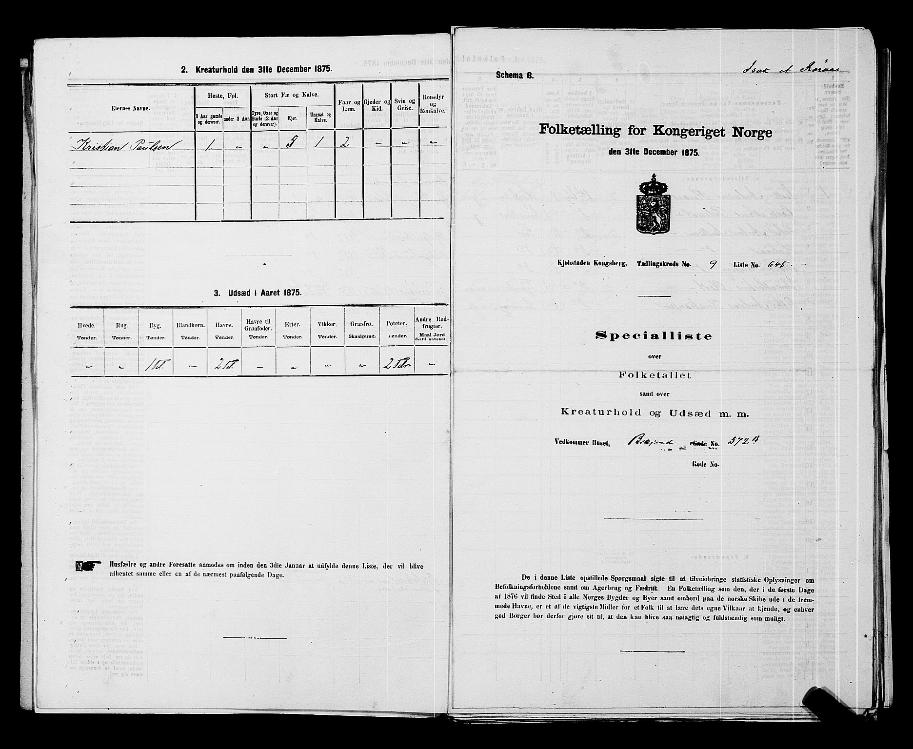 SAKO, Folketelling 1875 for 0604B Kongsberg prestegjeld, Kongsberg kjøpstad, 1875, s. 1424