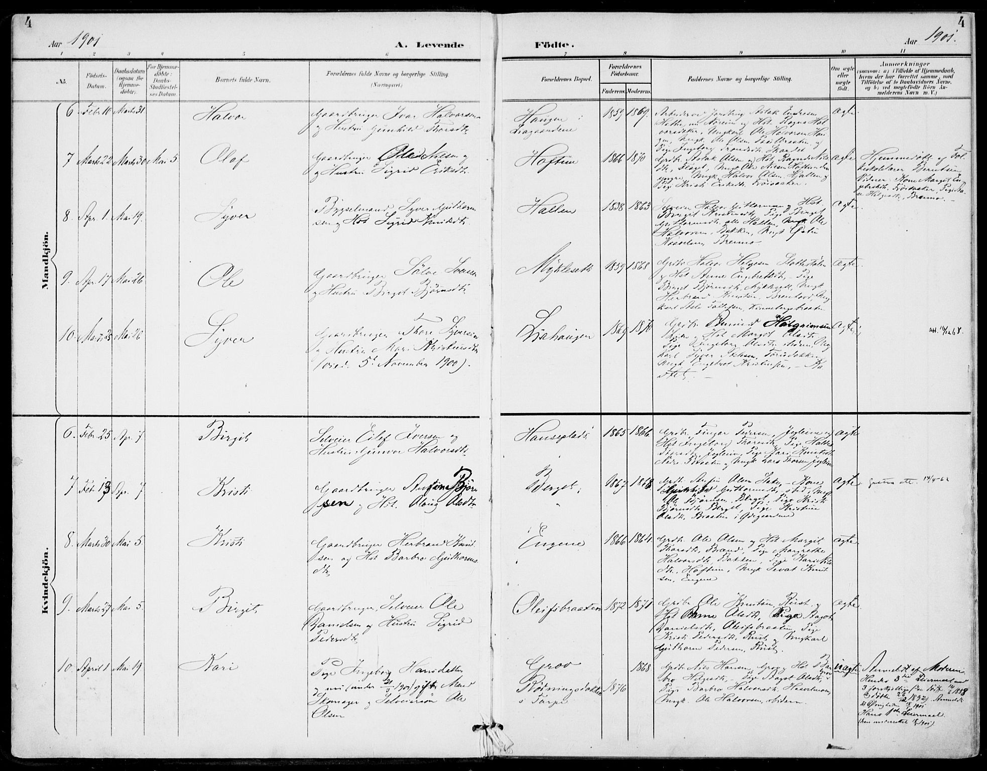 Gol kirkebøker, AV/SAKO-A-226/F/Fa/L0006: Ministerialbok nr. I 6, 1901-1918, s. 4