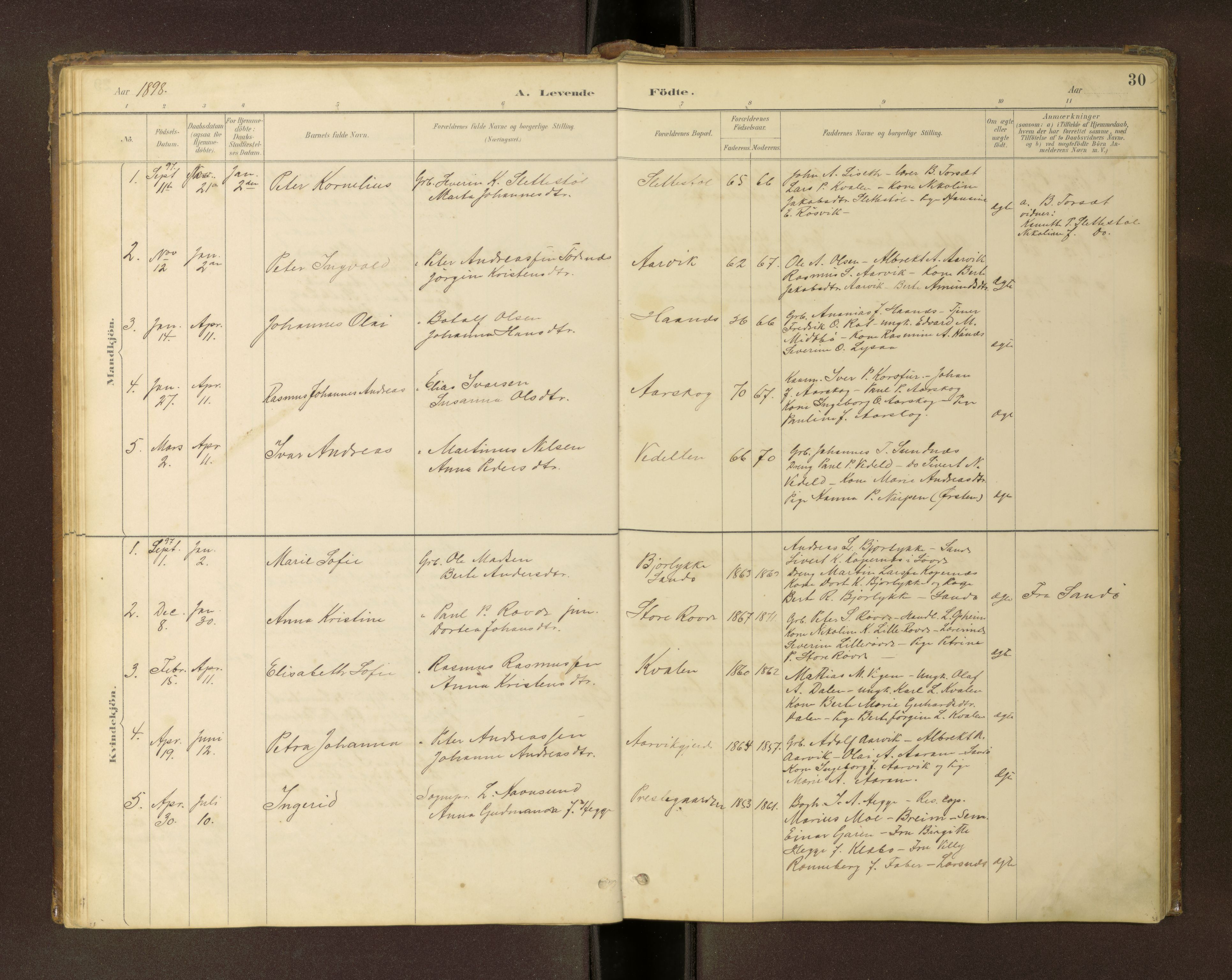 Ministerialprotokoller, klokkerbøker og fødselsregistre - Møre og Romsdal, AV/SAT-A-1454/504/L0060: Klokkerbok nr. 504C02, 1884-1903, s. 30