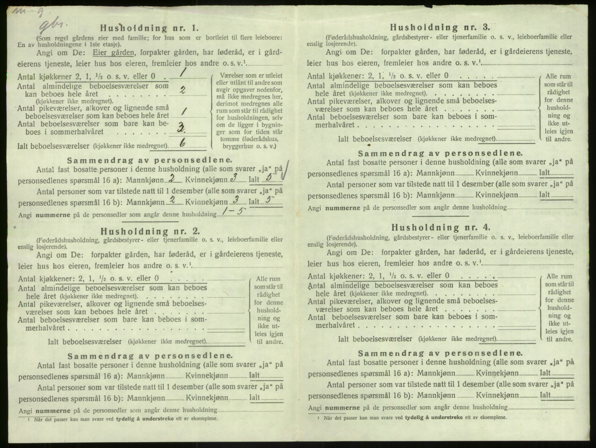 SAB, Folketelling 1920 for 1425 Hafslo herred, 1920, s. 539