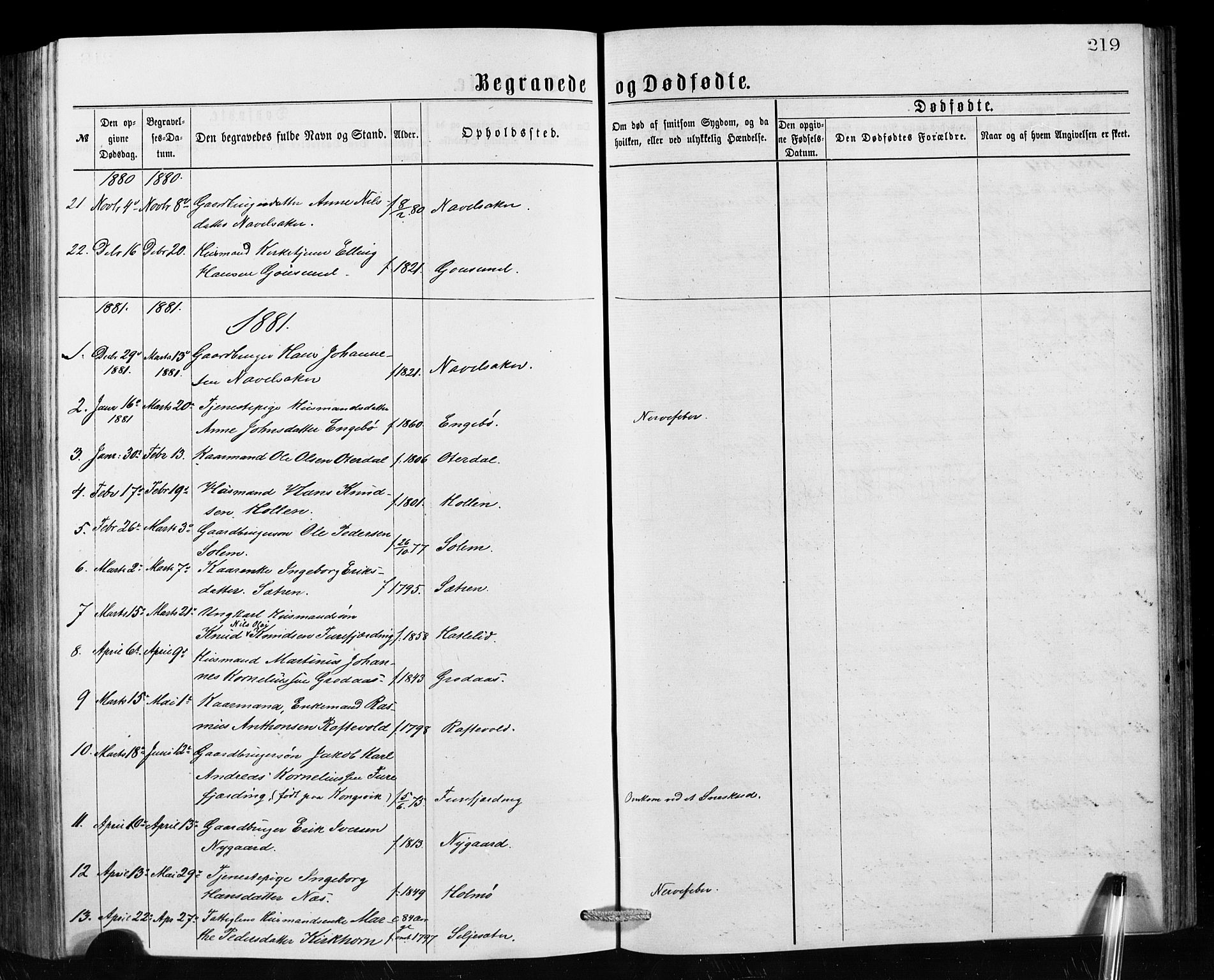 Hornindal sokneprestembete, AV/SAB-A-82401/H/Hab: Klokkerbok nr. A 1, 1876-1894, s. 219