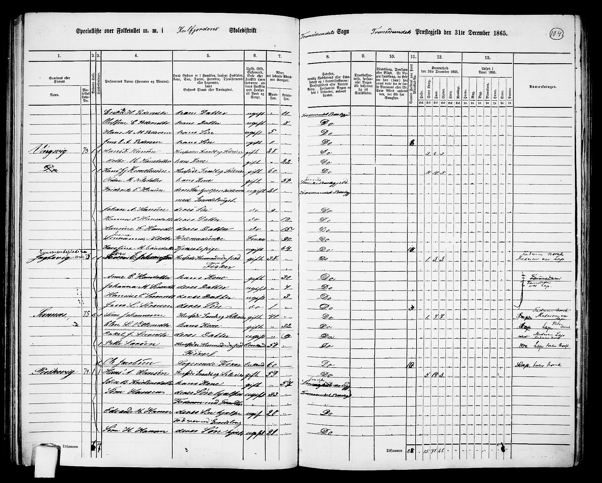 RA, Folketelling 1865 for 1934P Tromsøysund prestegjeld, 1865, s. 88