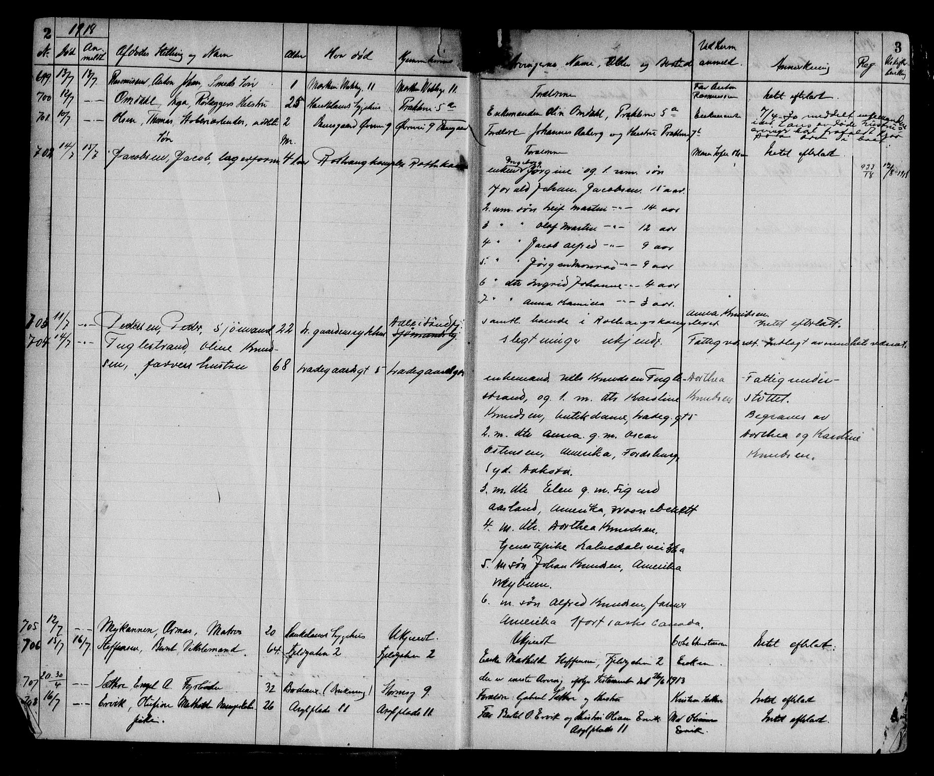 Byfogd og Byskriver i Bergen, AV/SAB-A-3401/06/06Na/L0012: Dødsfallsjournaler, 1918-1919, s. 2-3