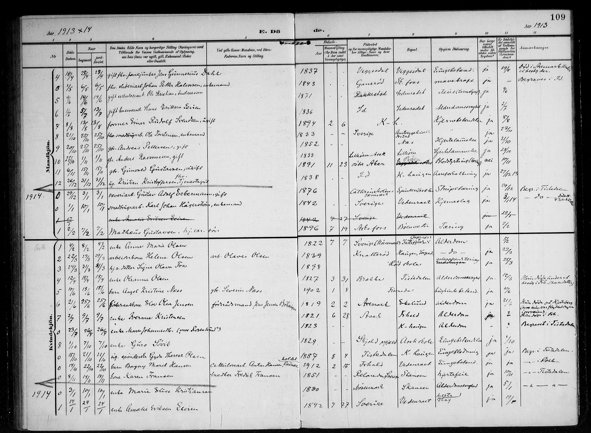 Berg prestekontor Kirkebøker, AV/SAO-A-10902/F/Fb/L0003: Ministerialbok nr. II 3, 1903-1919, s. 109
