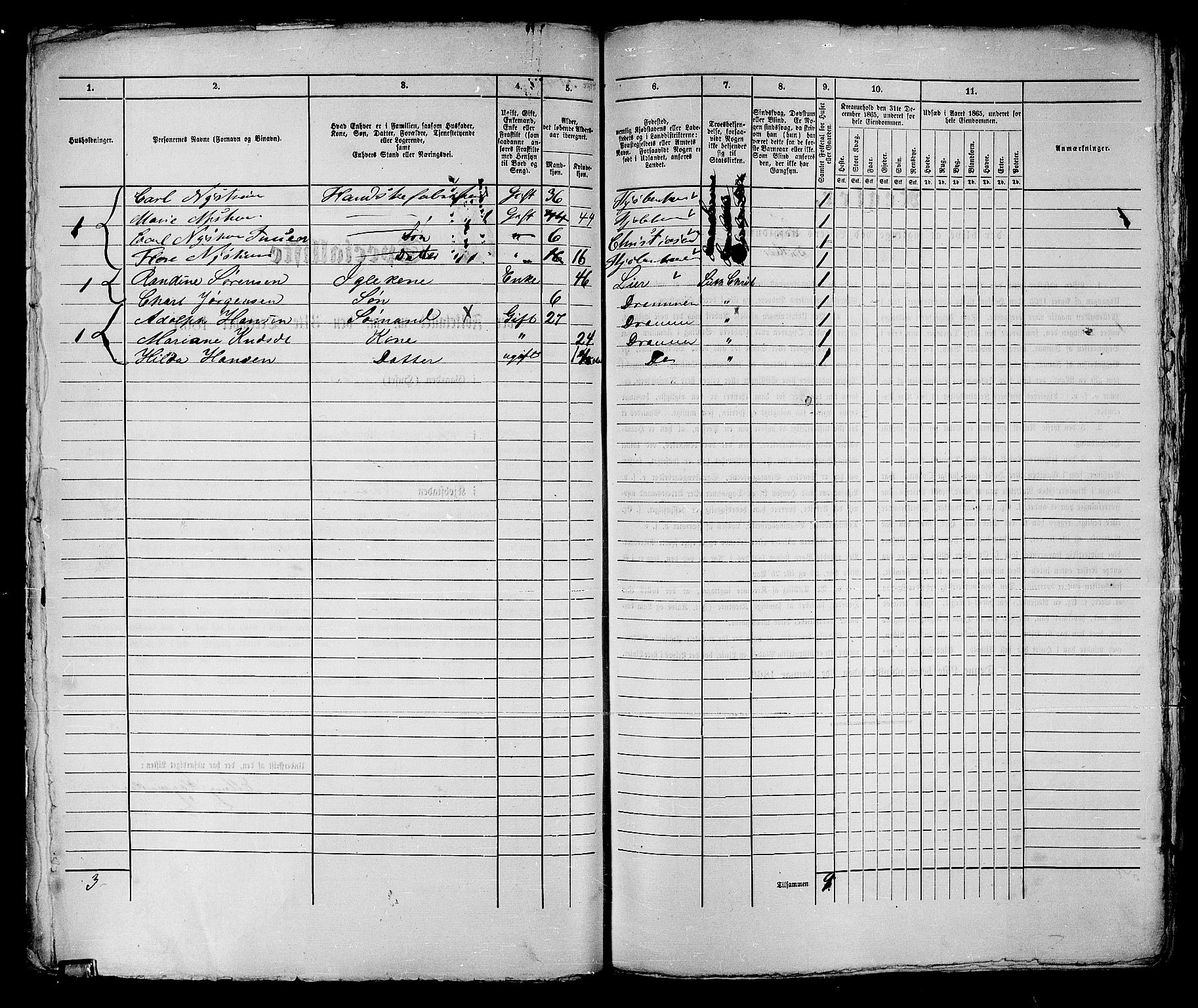 RA, Folketelling 1865 for 0602bP Strømsø prestegjeld i Drammen kjøpstad, 1865, s. 100