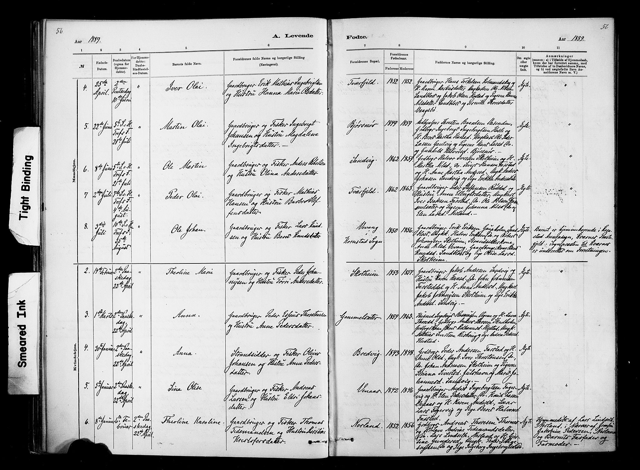 Ministerialprotokoller, klokkerbøker og fødselsregistre - Møre og Romsdal, AV/SAT-A-1454/567/L0778: Ministerialbok nr. 567A01, 1881-1903, s. 56