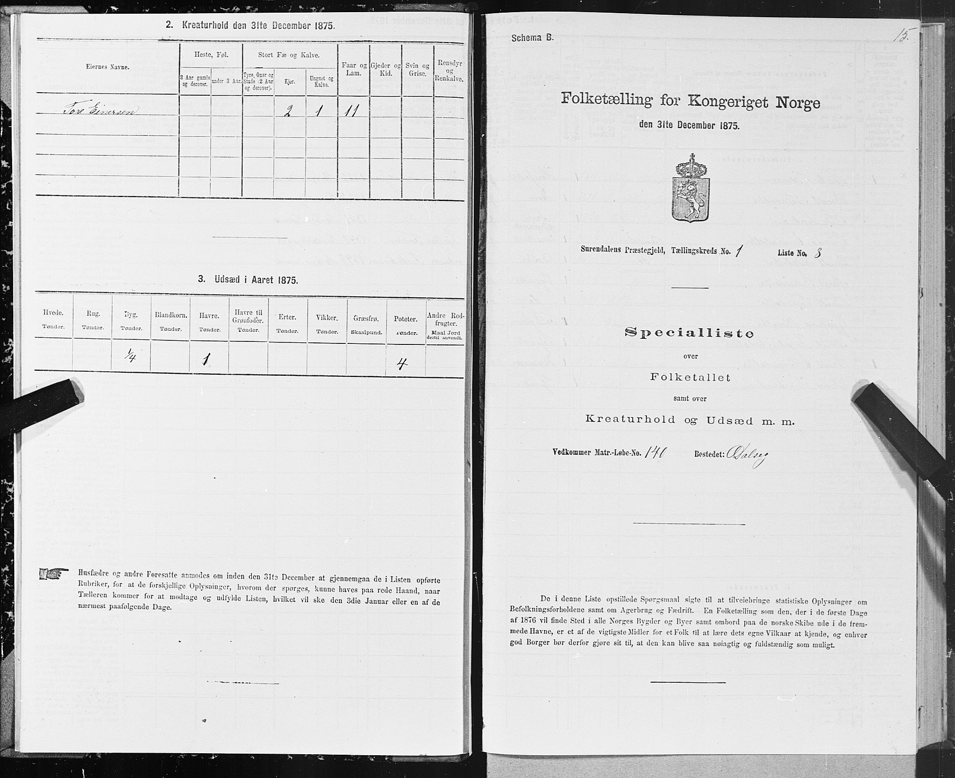 SAT, Folketelling 1875 for 1566P Surnadal prestegjeld, 1875, s. 1015