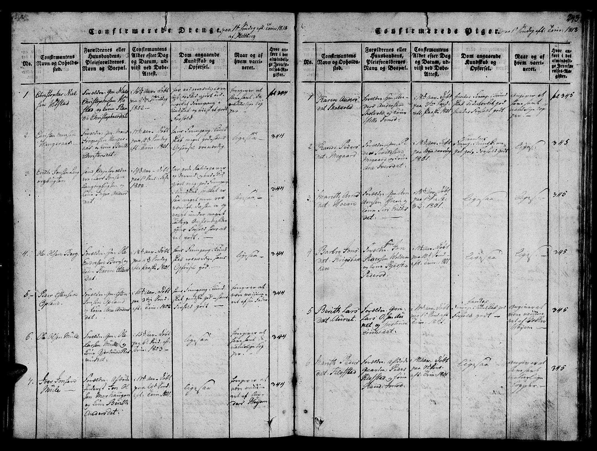 Ministerialprotokoller, klokkerbøker og fødselsregistre - Sør-Trøndelag, AV/SAT-A-1456/612/L0372: Ministerialbok nr. 612A06 /1, 1816-1828, s. 243