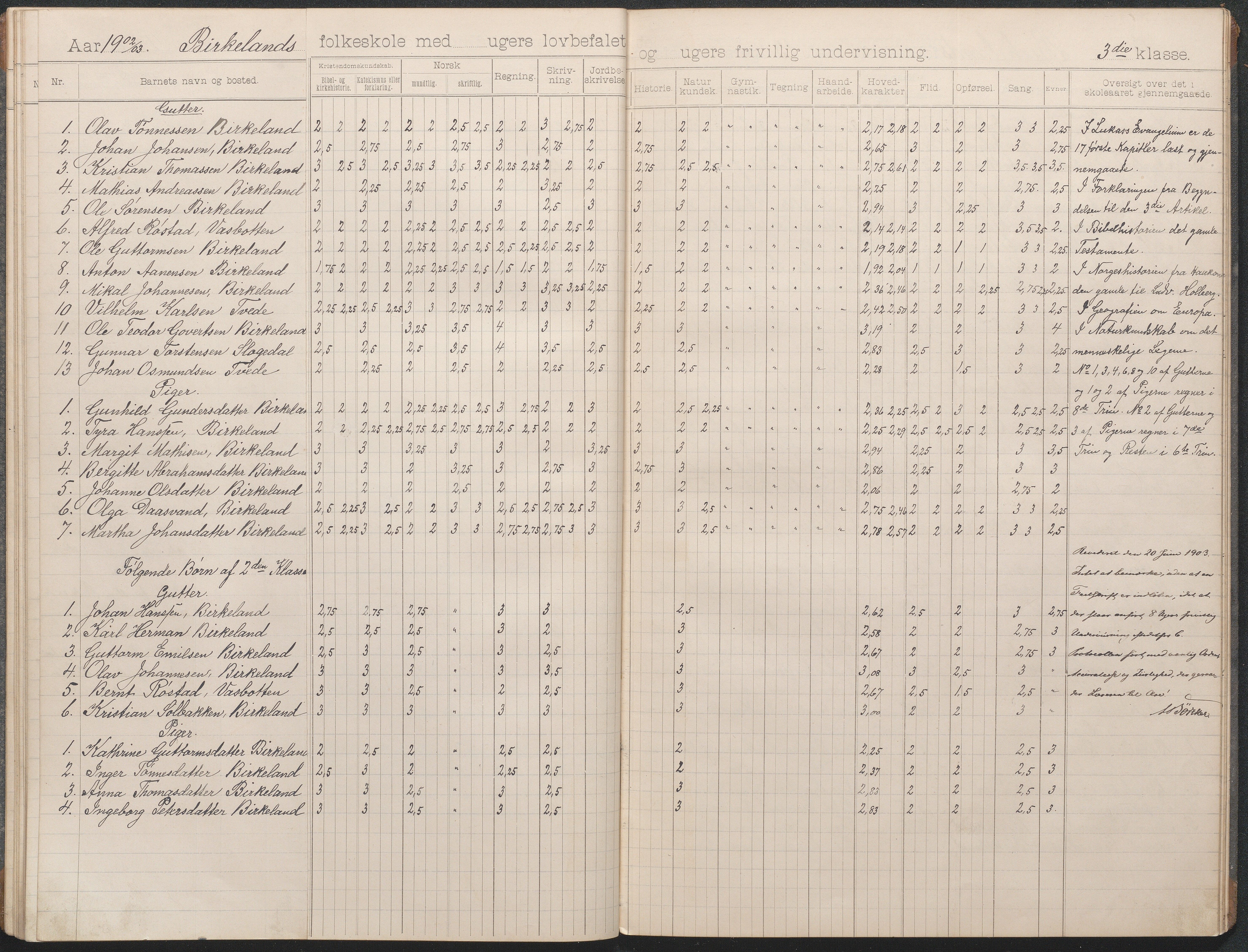 Birkenes kommune, Birkenes krets/Birkeland folkeskole frem til 1991, AAKS/KA0928-550a_91/F02/L0004: Skoleprotokoll, 1896-1907