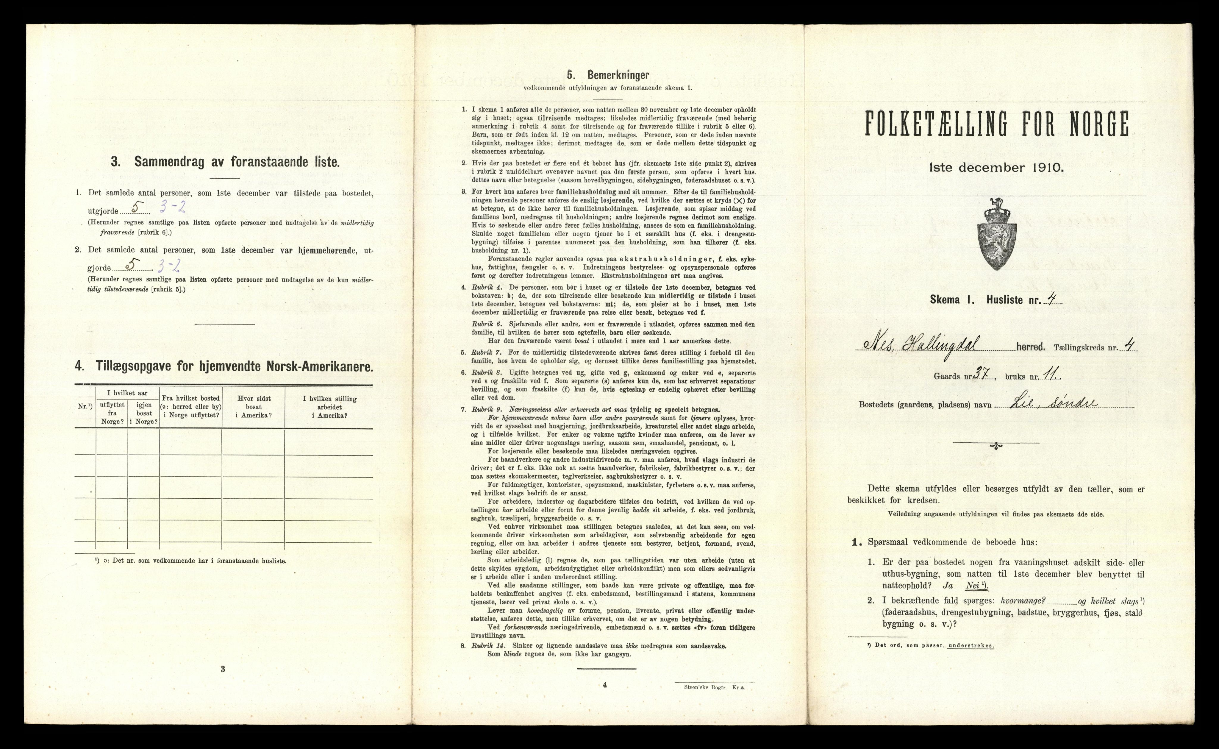 RA, Folketelling 1910 for 0616 Nes herred, 1910, s. 228