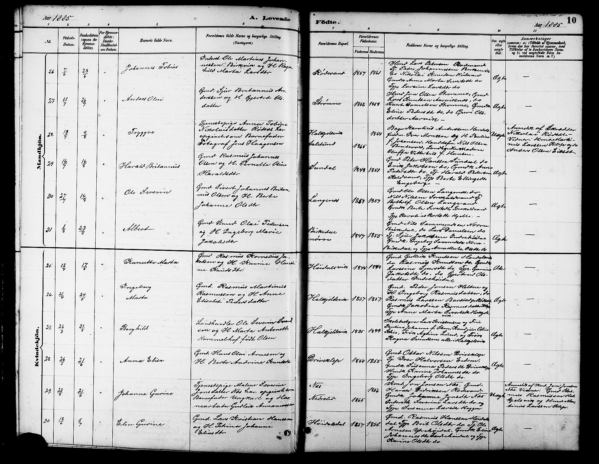 Ministerialprotokoller, klokkerbøker og fødselsregistre - Møre og Romsdal, AV/SAT-A-1454/511/L0158: Klokkerbok nr. 511C04, 1884-1903, s. 10
