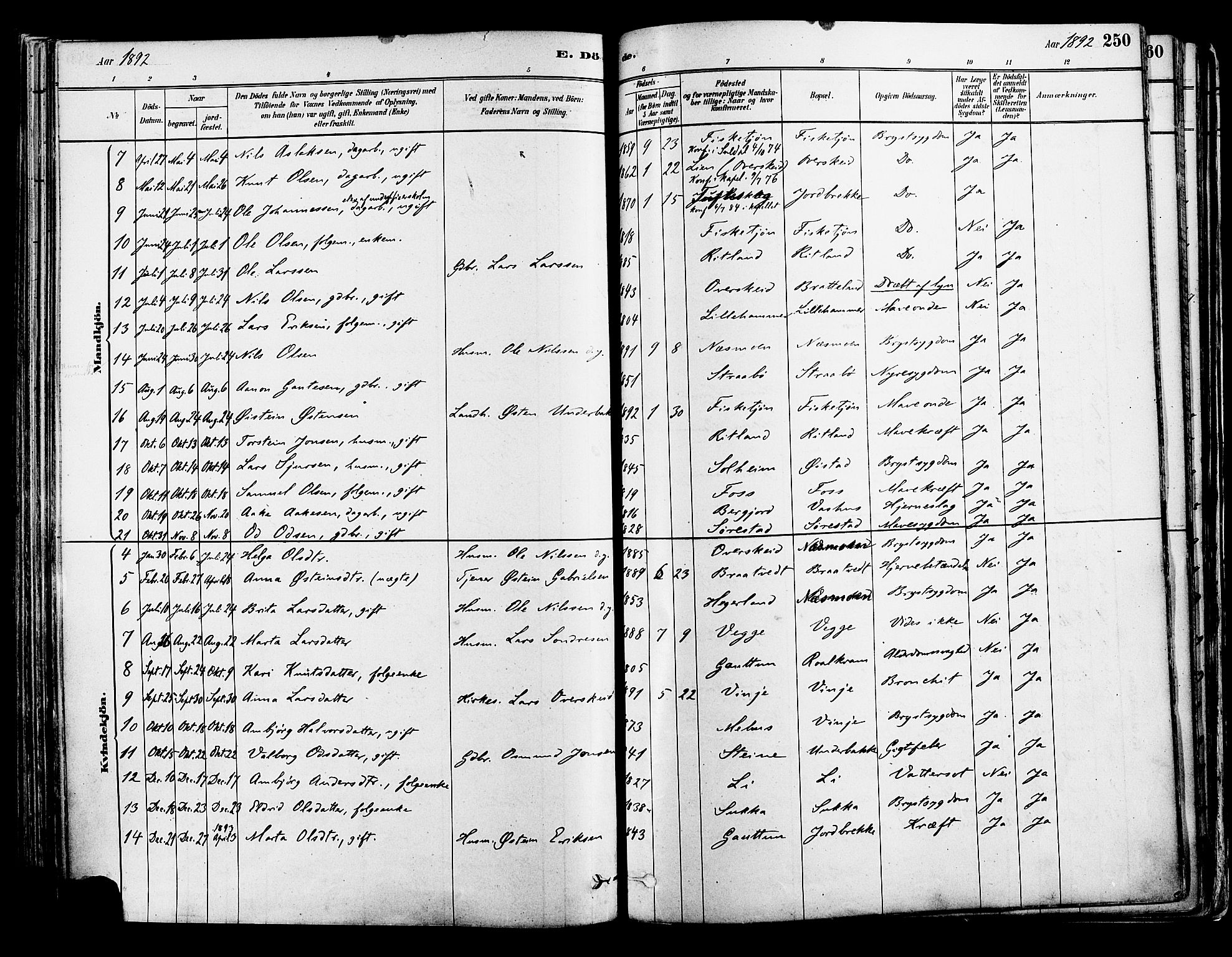 Suldal sokneprestkontor, AV/SAST-A-101845/01/IV/L0011: Ministerialbok nr. A 11, 1878-1900, s. 250