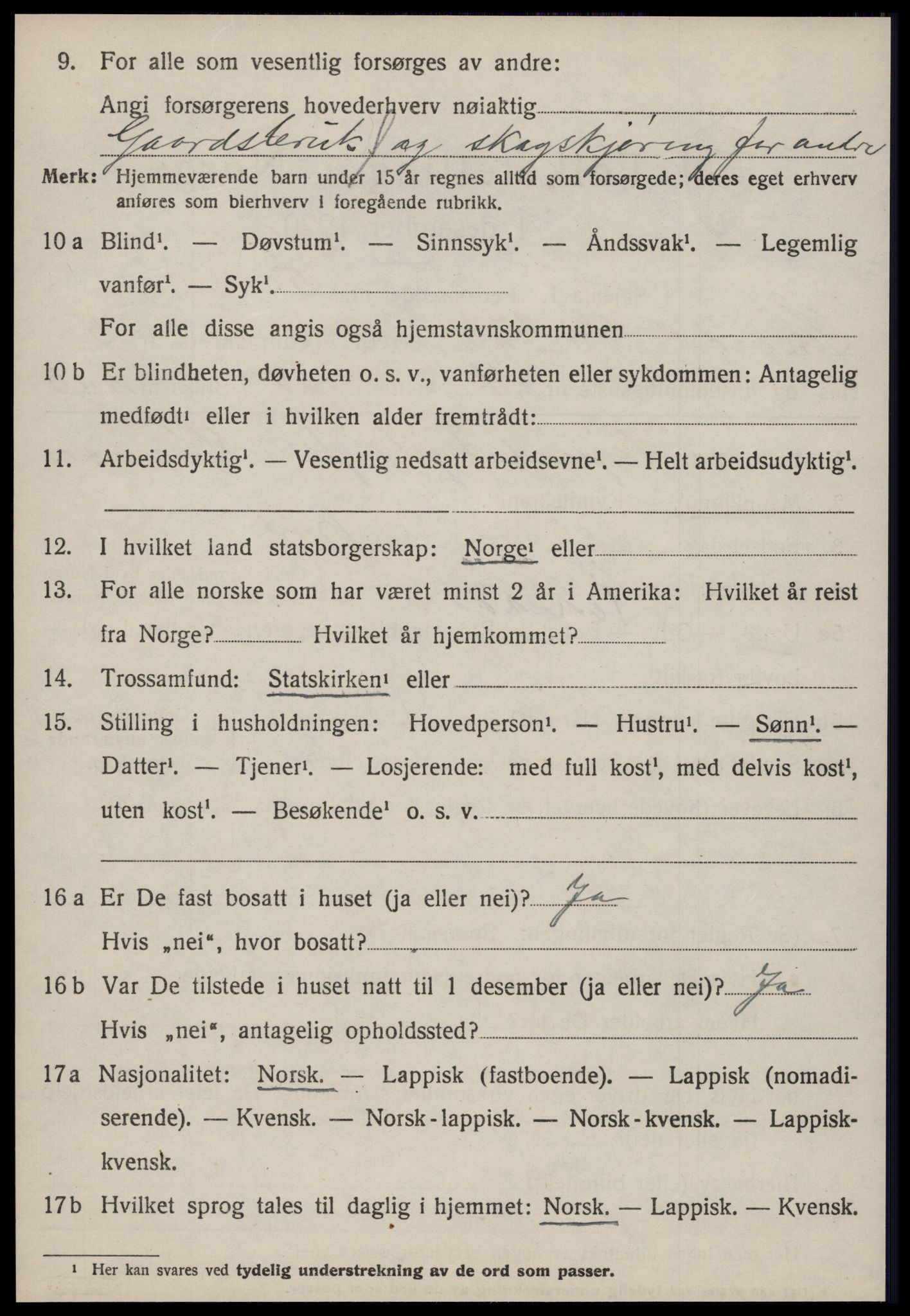 SAT, Folketelling 1920 for 1649 Soknedal herred, 1920, s. 2699