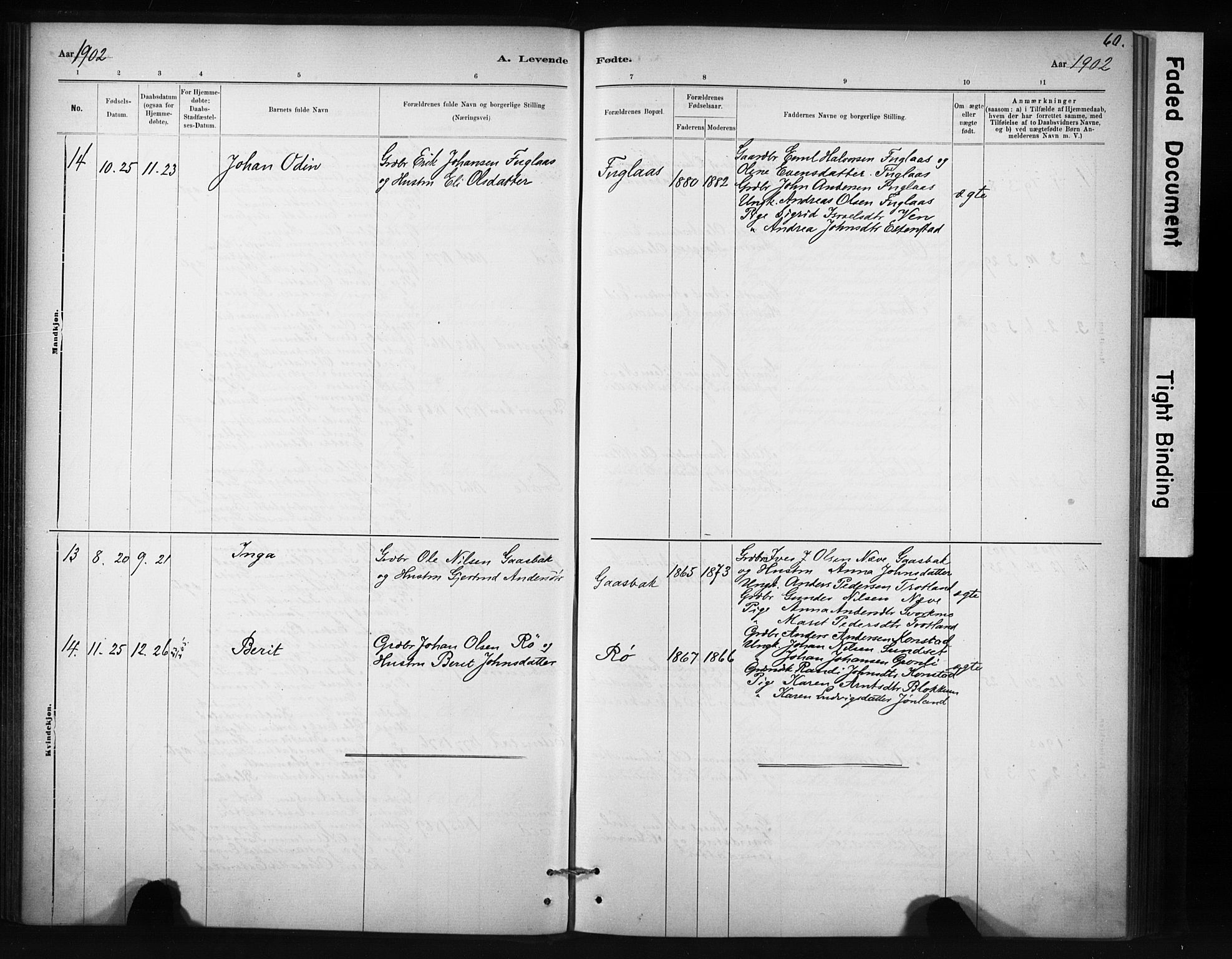 Ministerialprotokoller, klokkerbøker og fødselsregistre - Sør-Trøndelag, AV/SAT-A-1456/694/L1127: Ministerialbok nr. 694A01, 1887-1905, s. 60