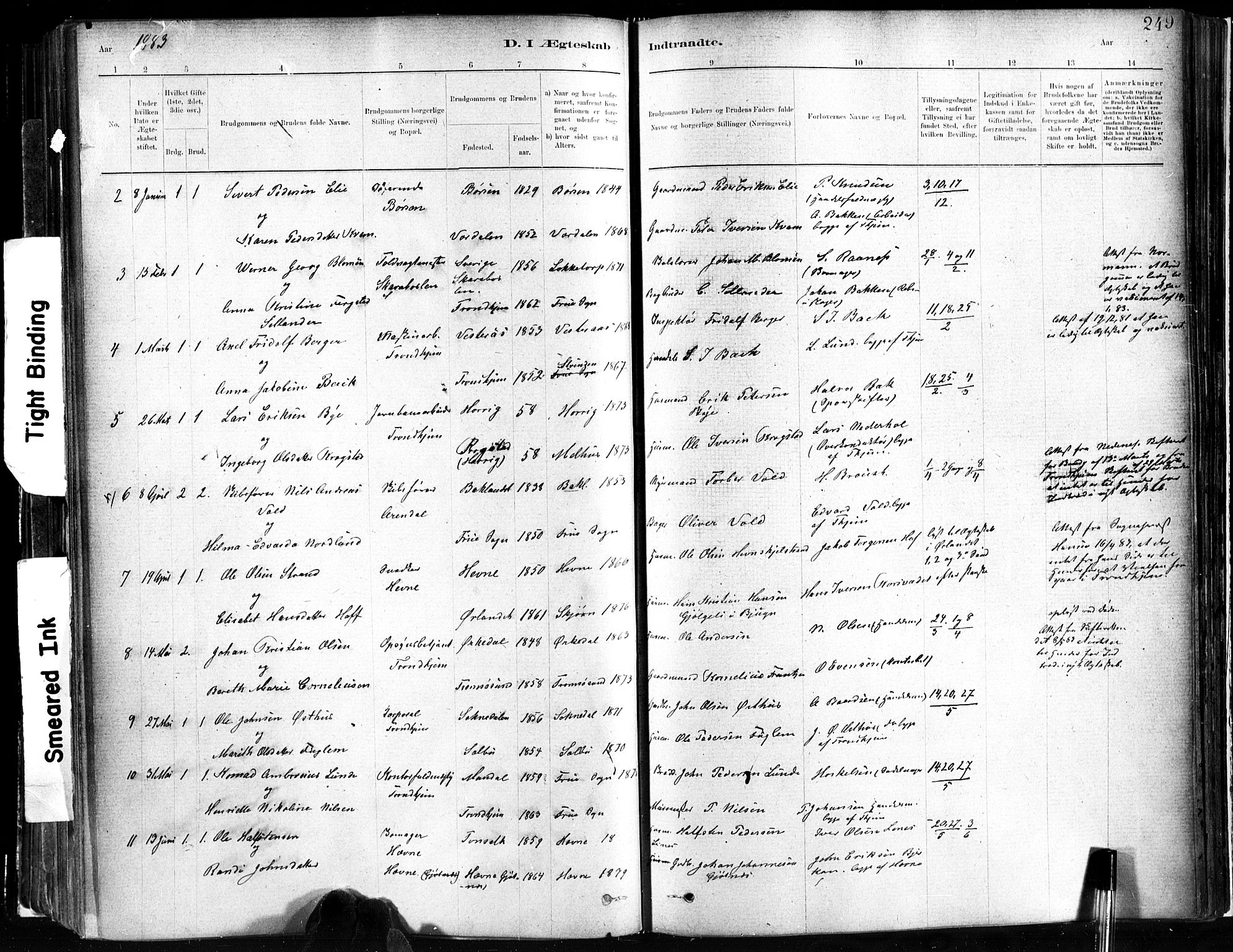 Ministerialprotokoller, klokkerbøker og fødselsregistre - Sør-Trøndelag, SAT/A-1456/602/L0119: Ministerialbok nr. 602A17, 1880-1901, s. 249