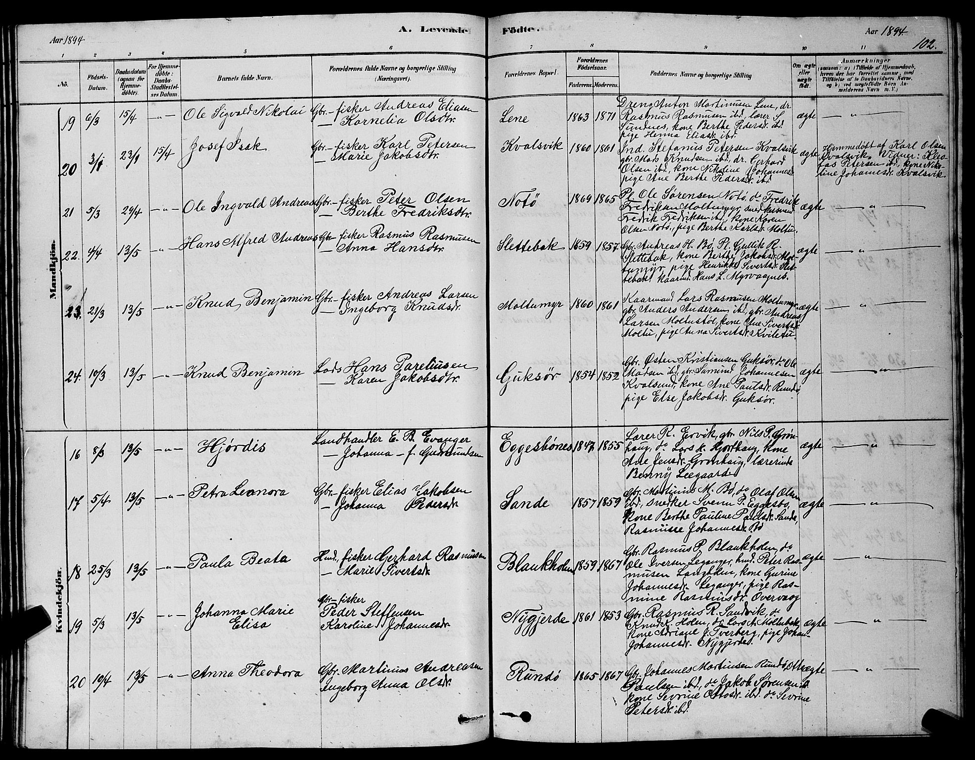 Ministerialprotokoller, klokkerbøker og fødselsregistre - Møre og Romsdal, AV/SAT-A-1454/507/L0081: Klokkerbok nr. 507C04, 1878-1898, s. 102