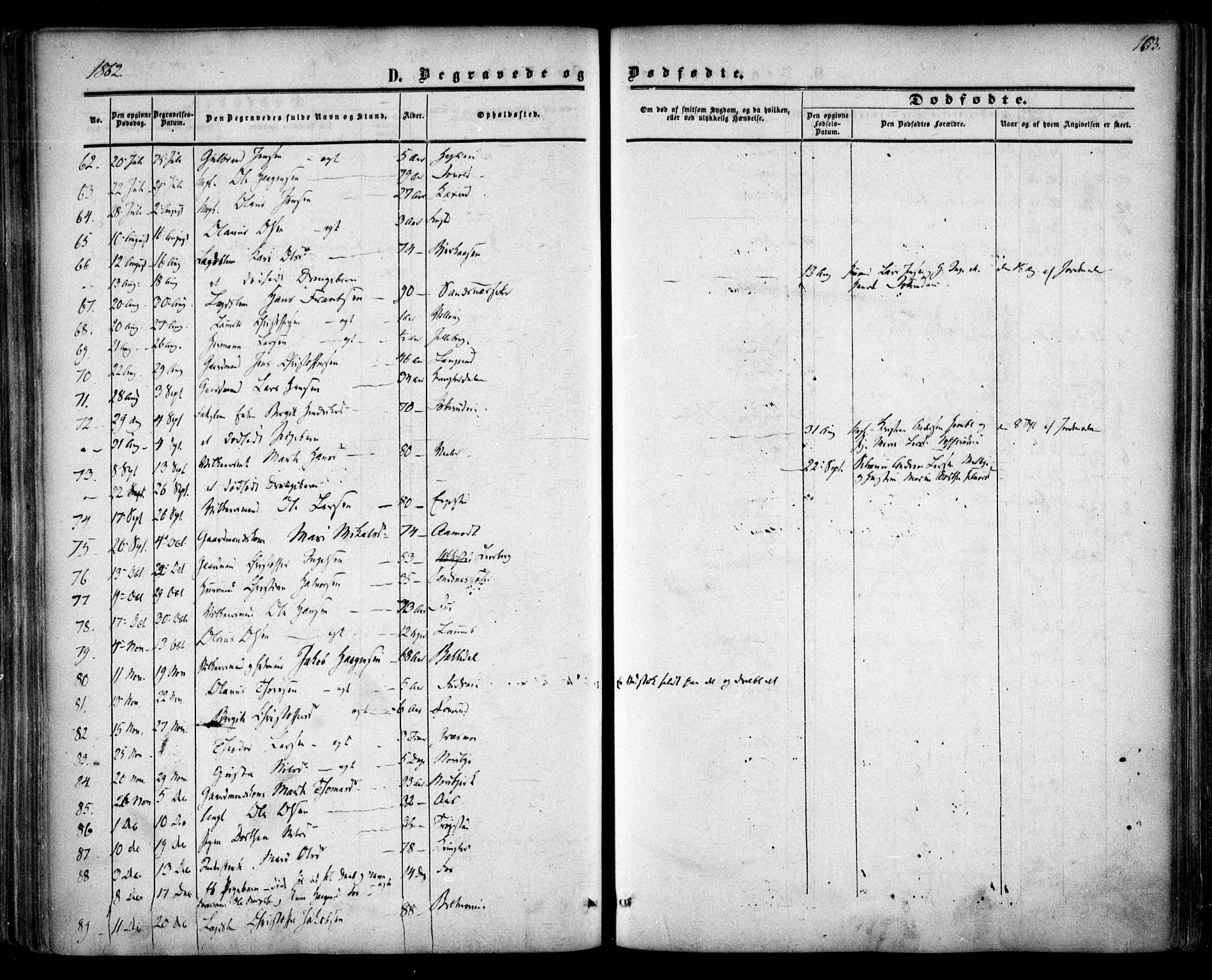 Nannestad prestekontor Kirkebøker, AV/SAO-A-10414a/F/Fa/L0012: Ministerialbok nr. I 12, 1860-1872, s. 163