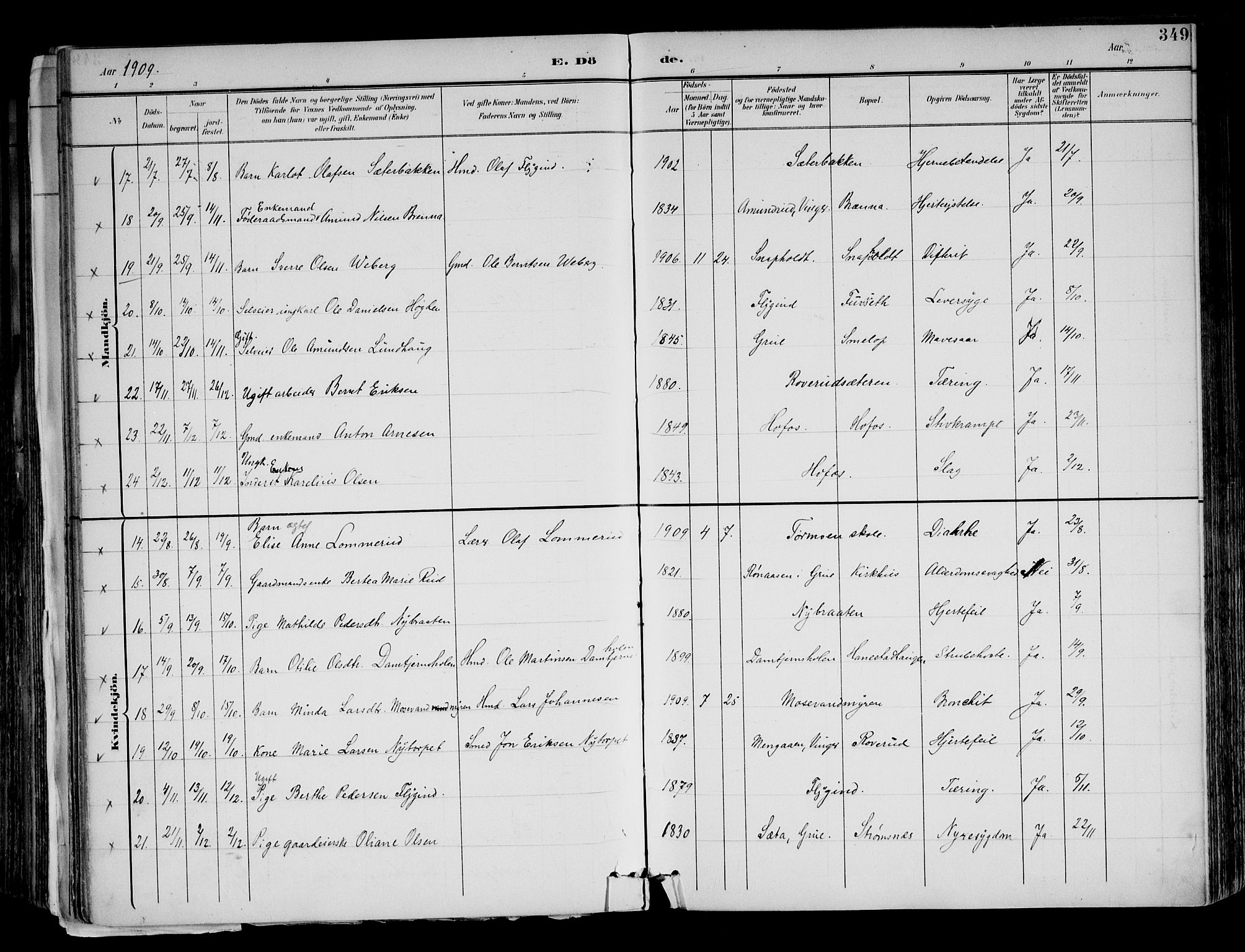 Brandval prestekontor, AV/SAH-PREST-034/H/Ha/Haa/L0003: Ministerialbok nr. 3, 1894-1909, s. 349