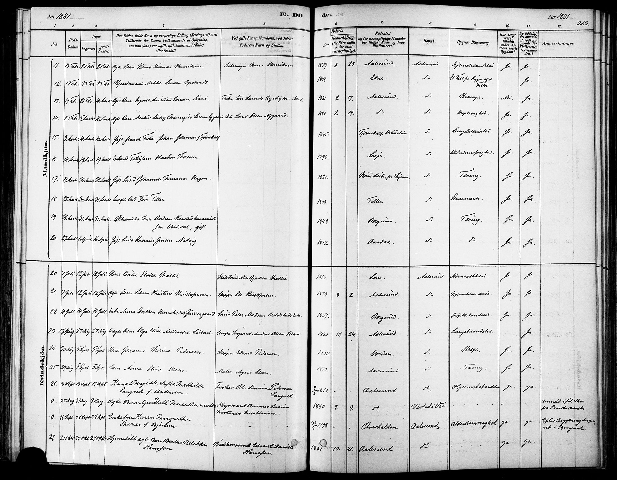 Ministerialprotokoller, klokkerbøker og fødselsregistre - Møre og Romsdal, AV/SAT-A-1454/529/L0454: Ministerialbok nr. 529A04, 1878-1885, s. 263