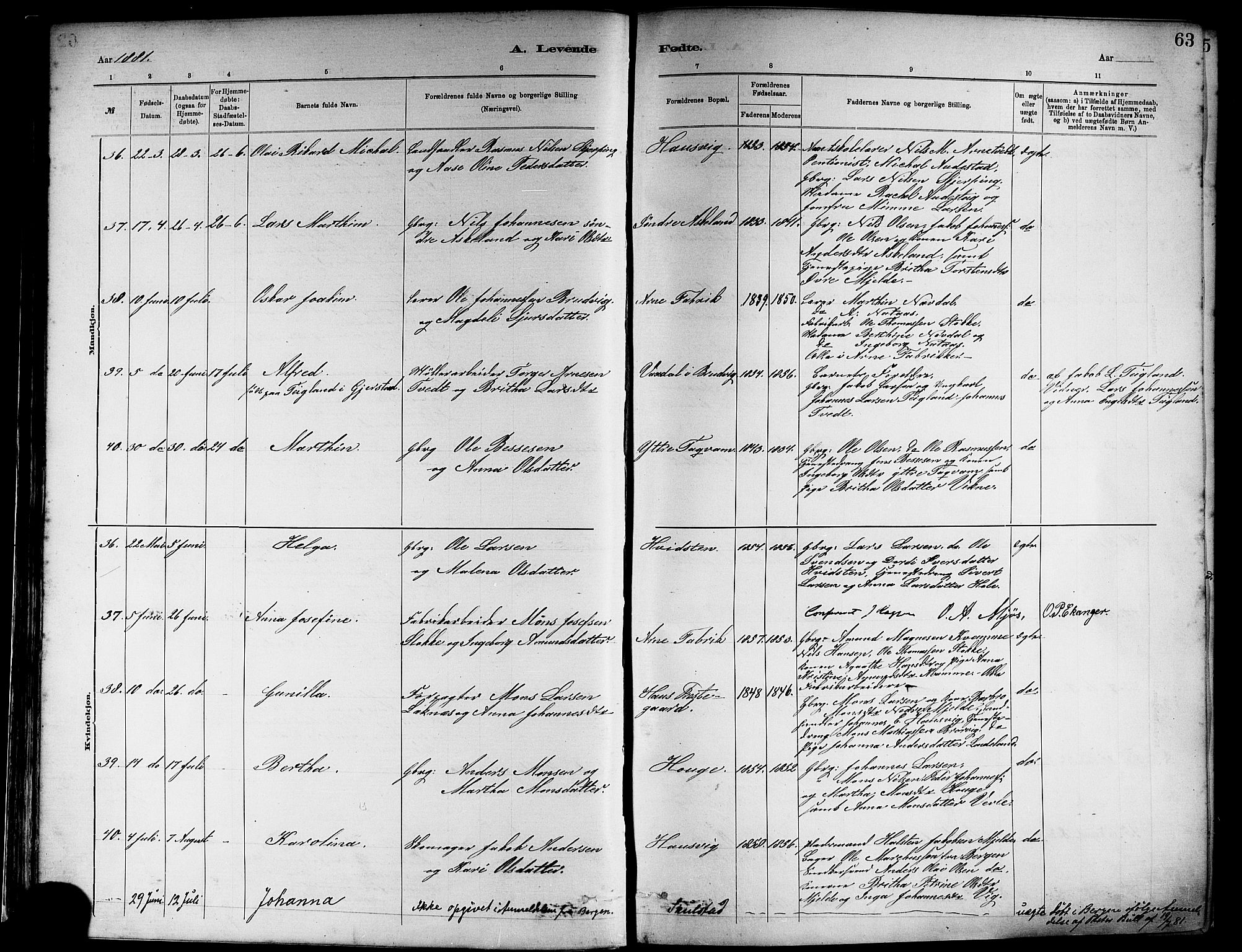 Haus sokneprestembete, SAB/A-75601/H/Haa: Ministerialbok nr. A 19I, 1878-1886, s. 63