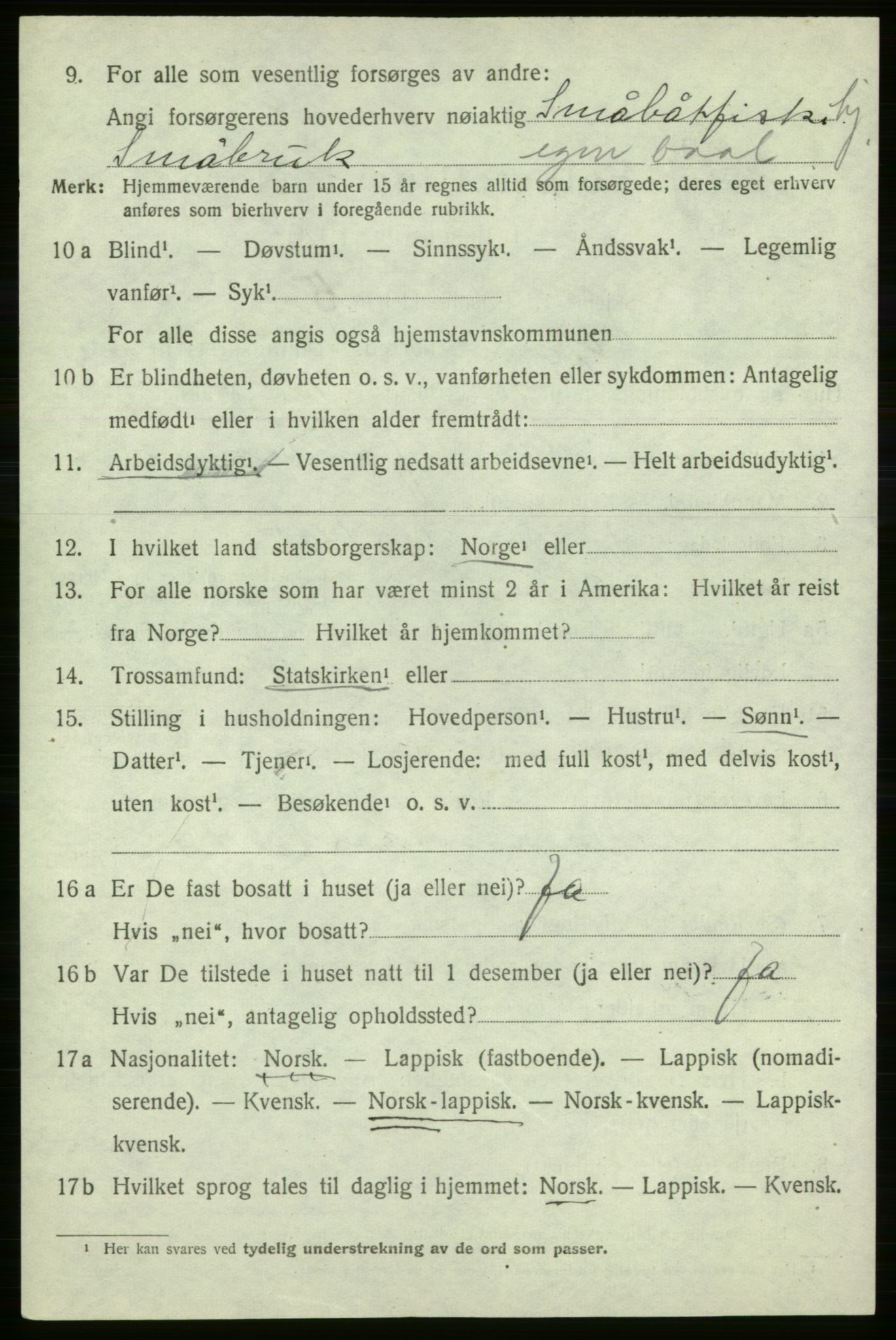 SATØ, Folketelling 1920 for 2014 Loppa herred, 1920, s. 999