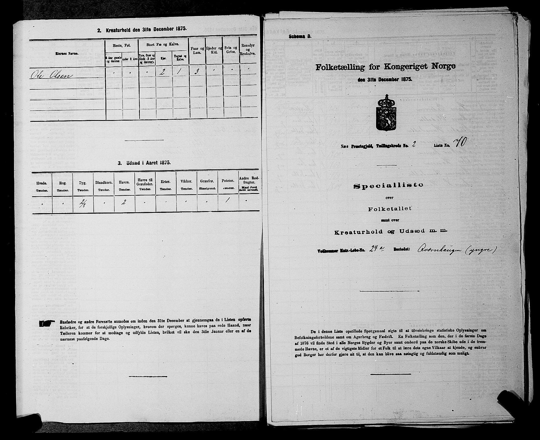 RA, Folketelling 1875 for 0236P Nes prestegjeld, 1875, s. 183