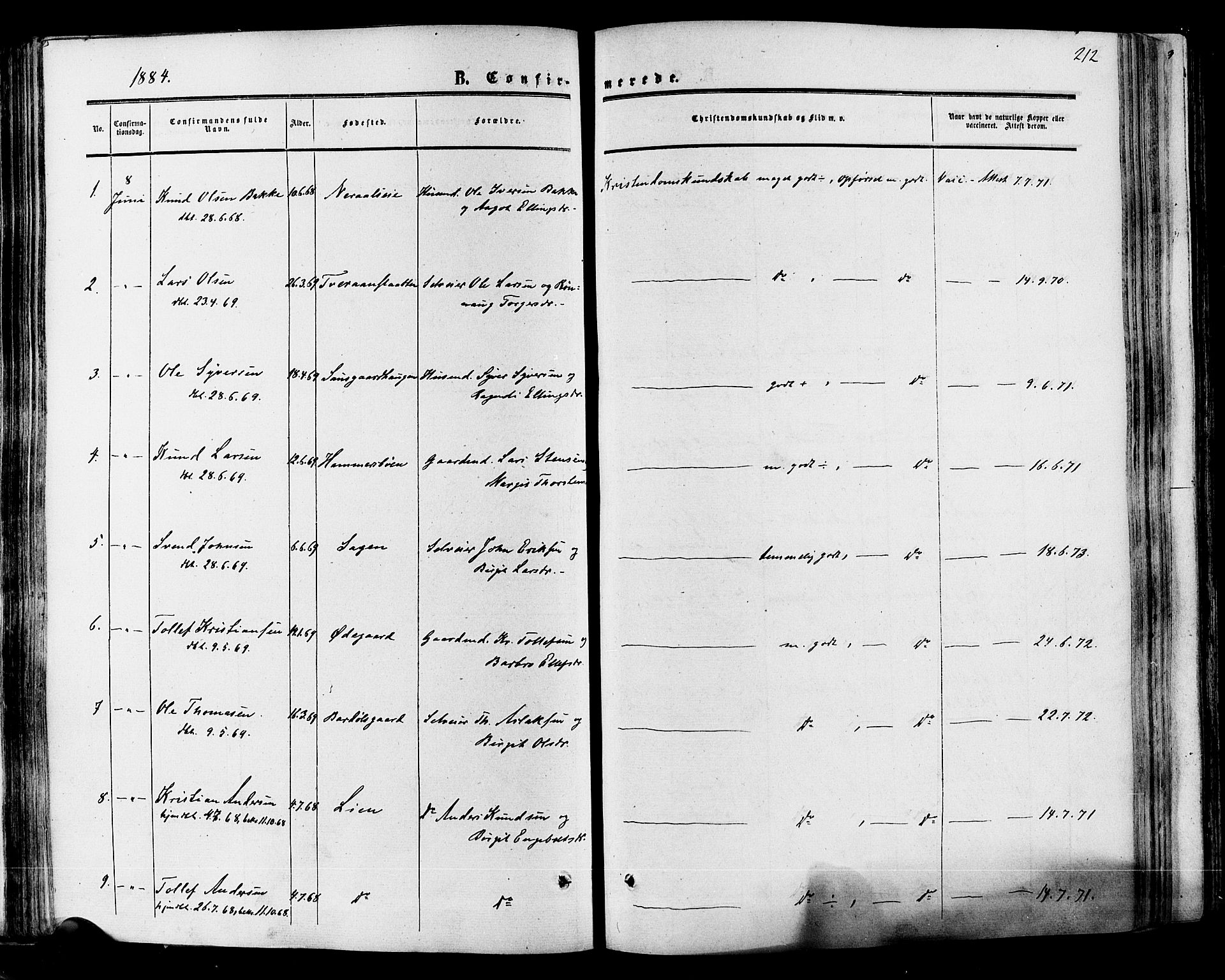 Hol kirkebøker, SAKO/A-227/F/Fa/L0002: Ministerialbok nr. I 2, 1870-1886, s. 212