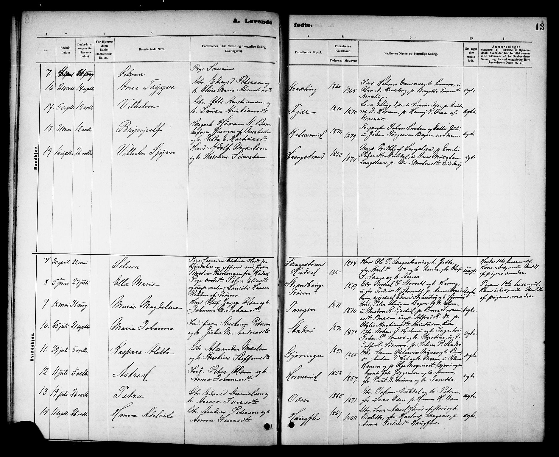 Ministerialprotokoller, klokkerbøker og fødselsregistre - Nord-Trøndelag, SAT/A-1458/780/L0652: Klokkerbok nr. 780C04, 1899-1911, s. 13
