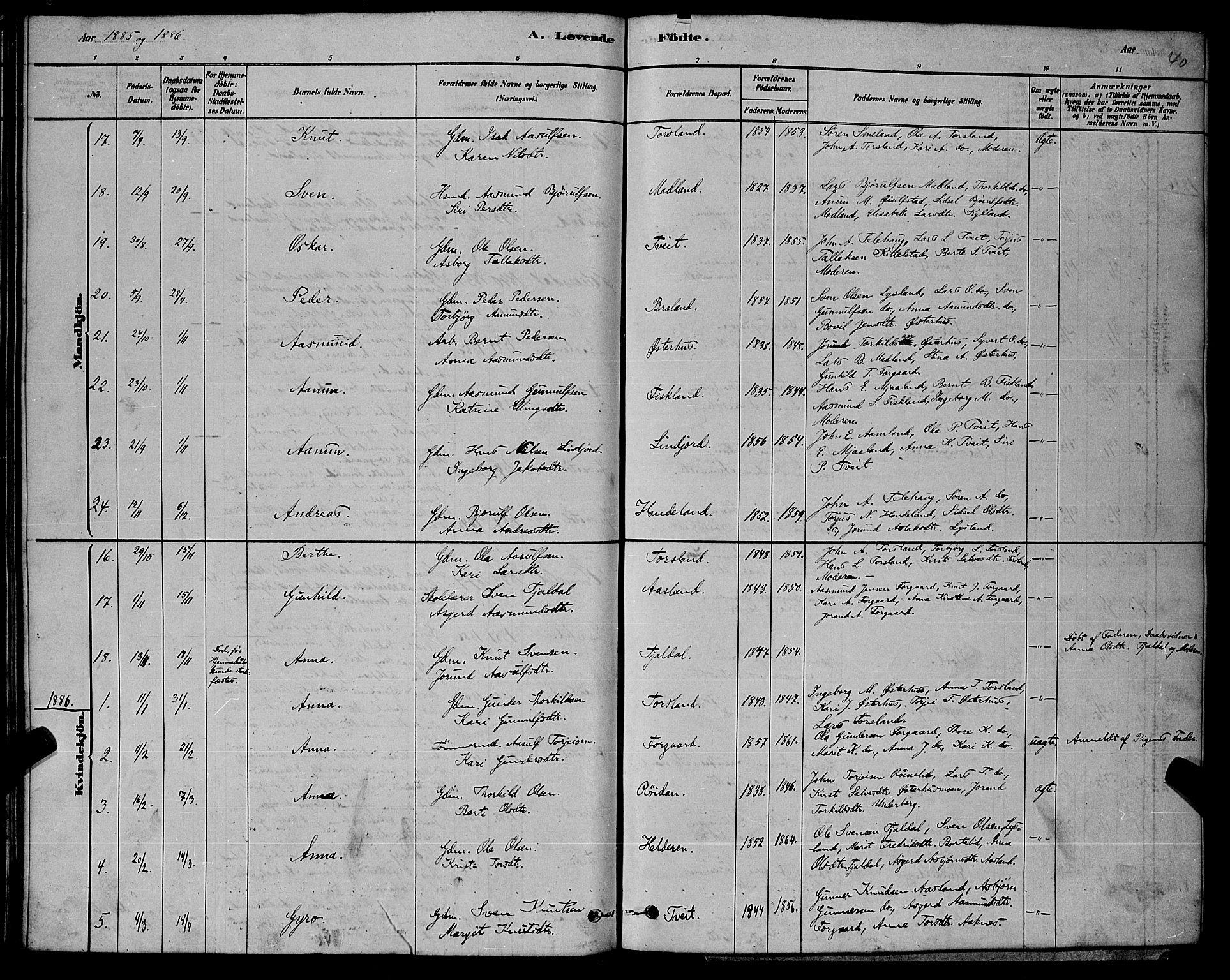 Åseral sokneprestkontor, AV/SAK-1111-0051/F/Fb/L0002: Klokkerbok nr. B 2, 1878-1899, s. 40
