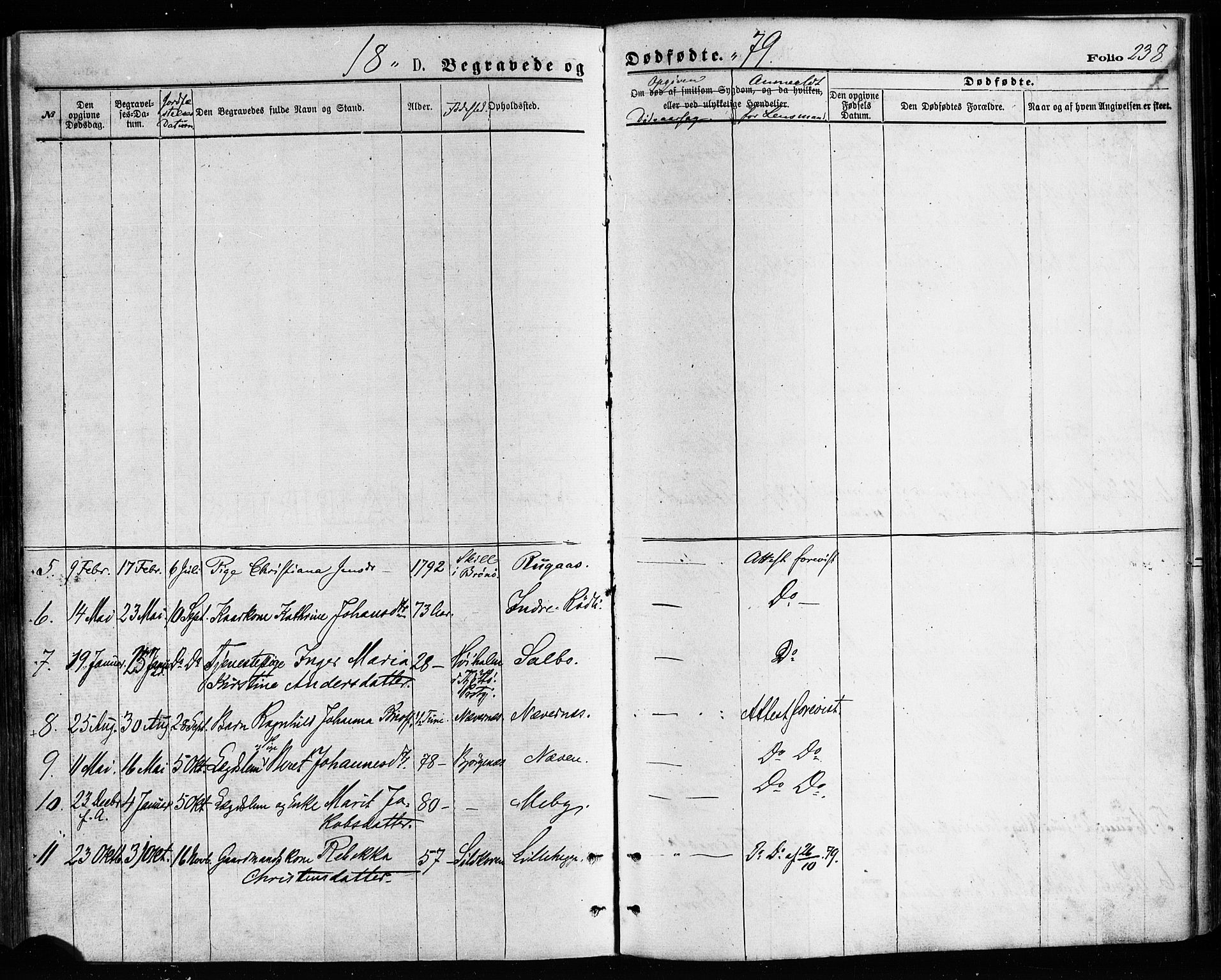 Ministerialprotokoller, klokkerbøker og fødselsregistre - Nordland, AV/SAT-A-1459/814/L0225: Ministerialbok nr. 814A06, 1875-1885, s. 238