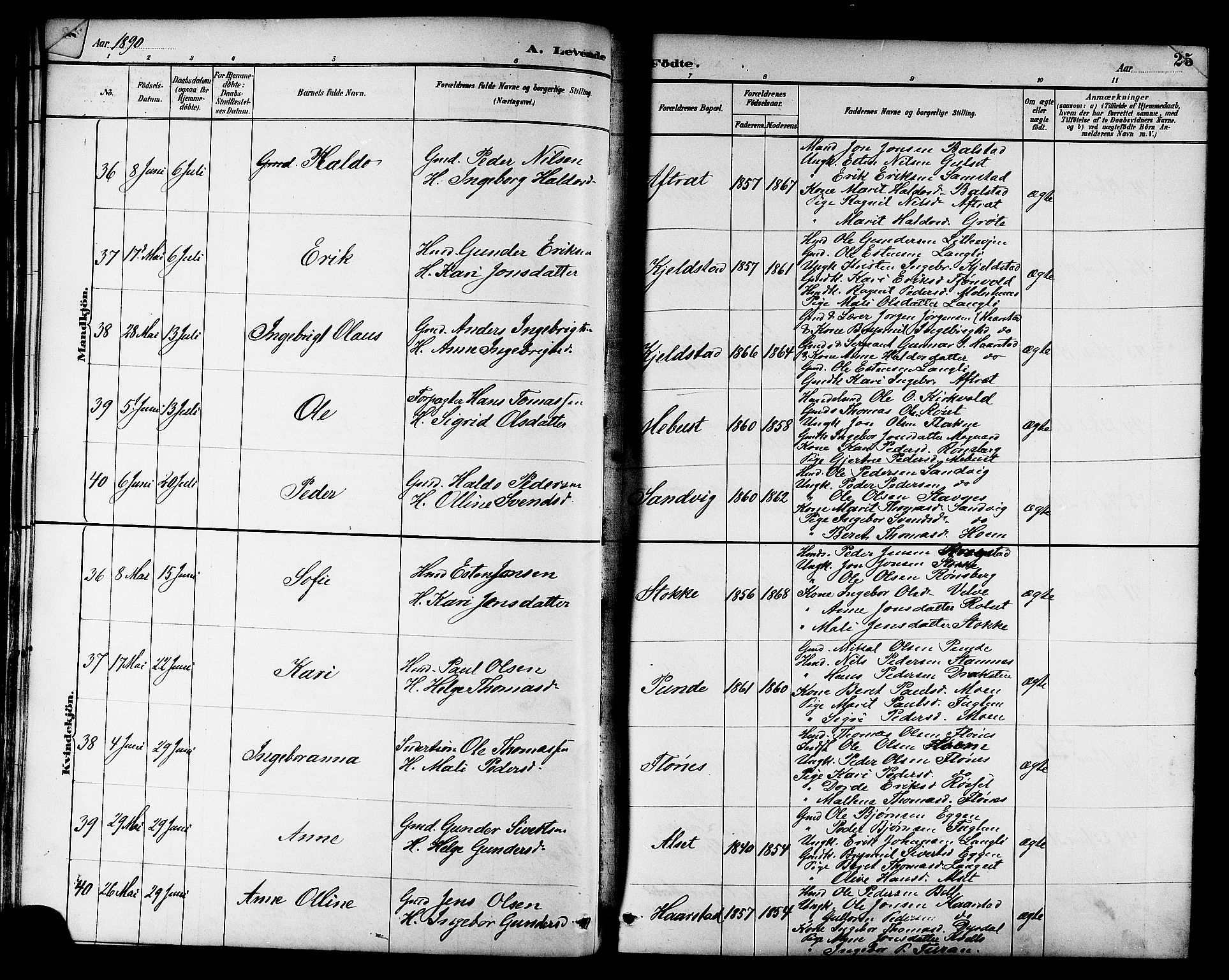 Ministerialprotokoller, klokkerbøker og fødselsregistre - Sør-Trøndelag, AV/SAT-A-1456/695/L1157: Klokkerbok nr. 695C08, 1889-1913, s. 25