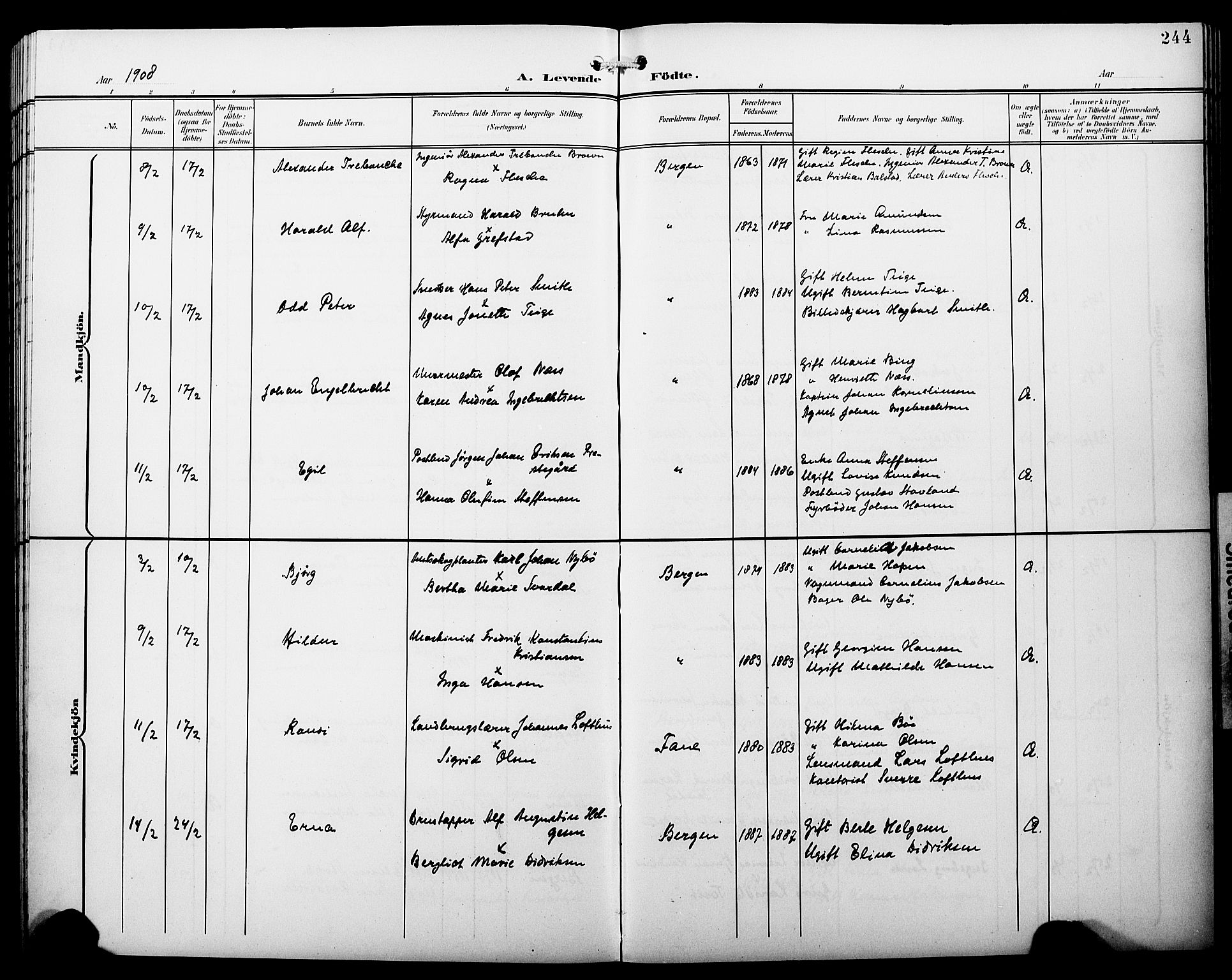 Fødselsstiftelsens sokneprestembete*, SAB/-: Klokkerbok nr. A 1, 1900-1909, s. 244