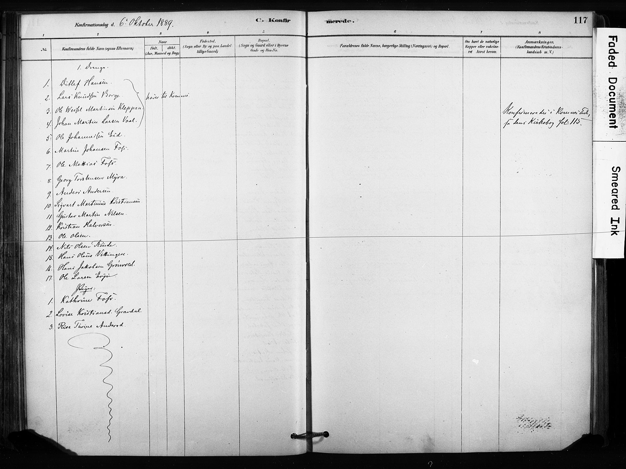 Sandsvær kirkebøker, AV/SAKO-A-244/F/Fc/L0001: Ministerialbok nr. III 1, 1878-1923, s. 117