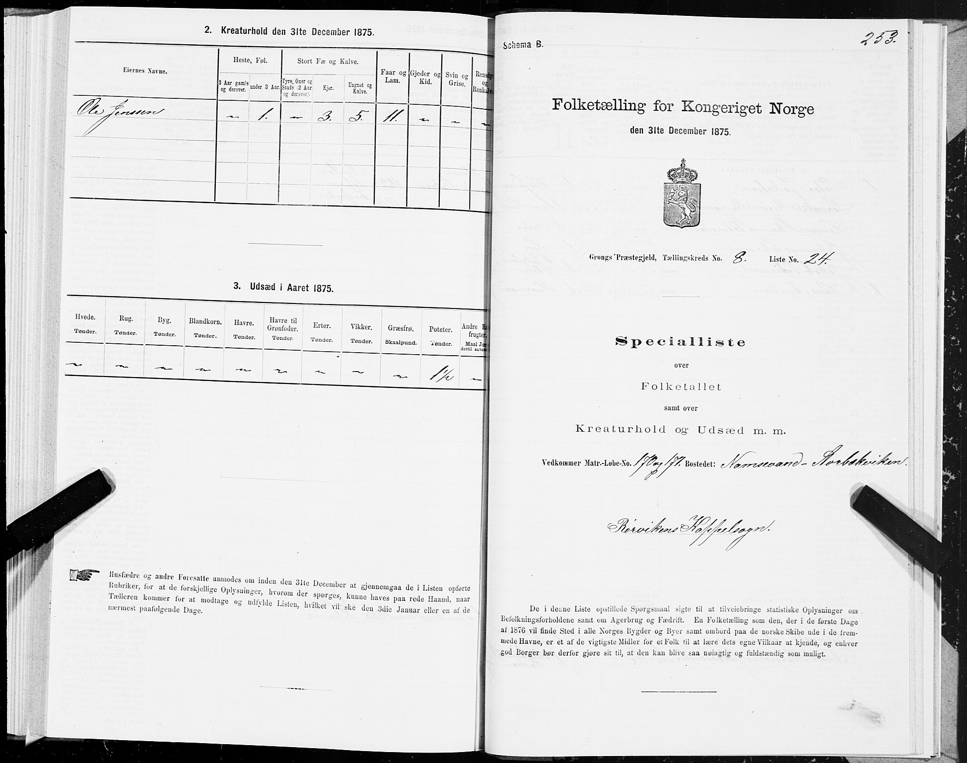 SAT, Folketelling 1875 for 1742P Grong prestegjeld, 1875, s. 4253