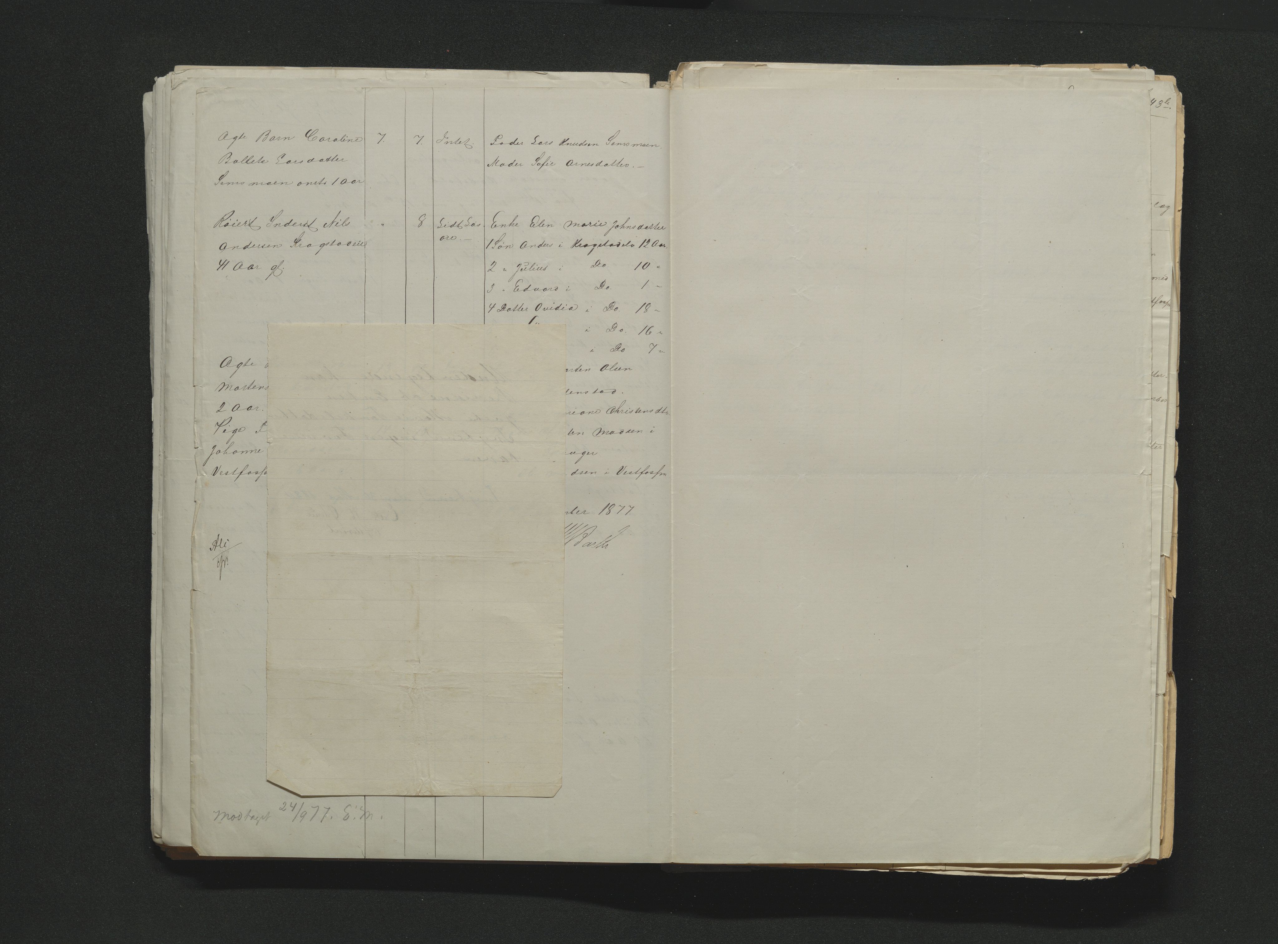 Eiker, Modum og Sigdal sorenskriveri, AV/SAKO-A-123/H/Ha/Hab/L0014: Dødsfallsmeldinger, 1874-1877, s. 611