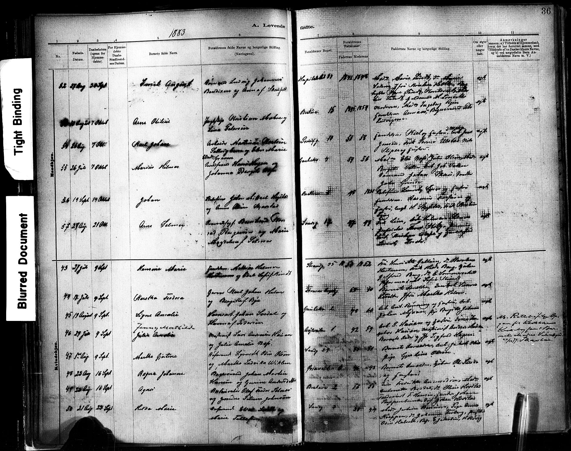 Ministerialprotokoller, klokkerbøker og fødselsregistre - Sør-Trøndelag, AV/SAT-A-1456/602/L0119: Ministerialbok nr. 602A17, 1880-1901, s. 36