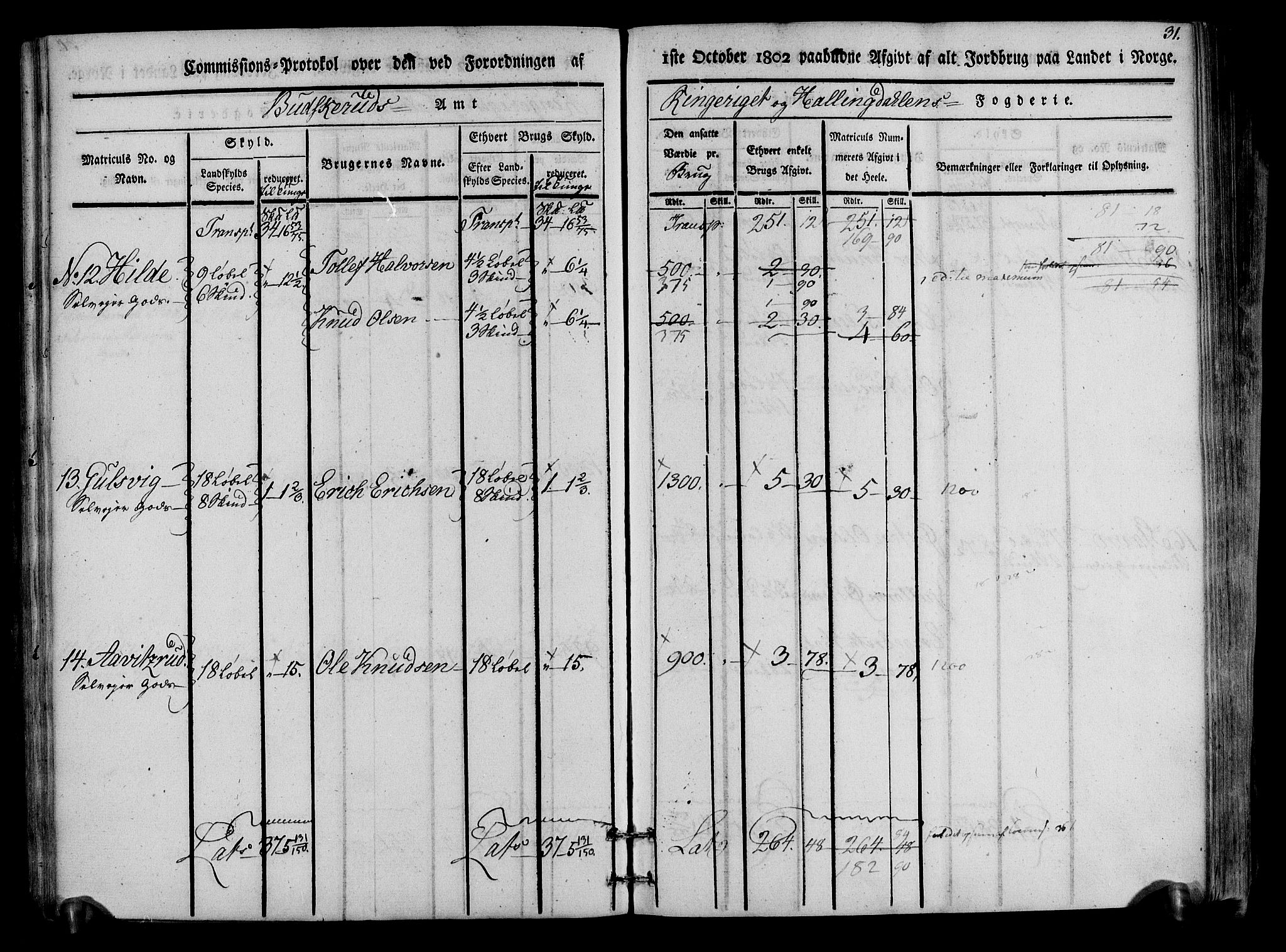 Rentekammeret inntil 1814, Realistisk ordnet avdeling, RA/EA-4070/N/Ne/Nea/L0047: Ringerike og Hallingdal fogderi. Kommisjonsprotokoll for Nes prestegjeld, 1803, s. 33