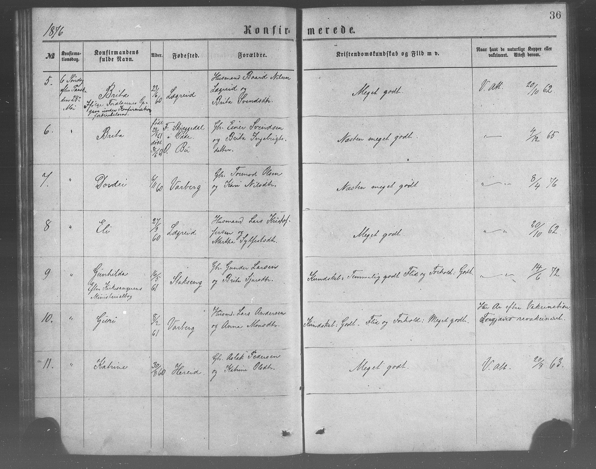 Ulvik sokneprestembete, AV/SAB-A-78801/H/Haa: Ministerialbok nr. A 17, 1873-1891, s. 36