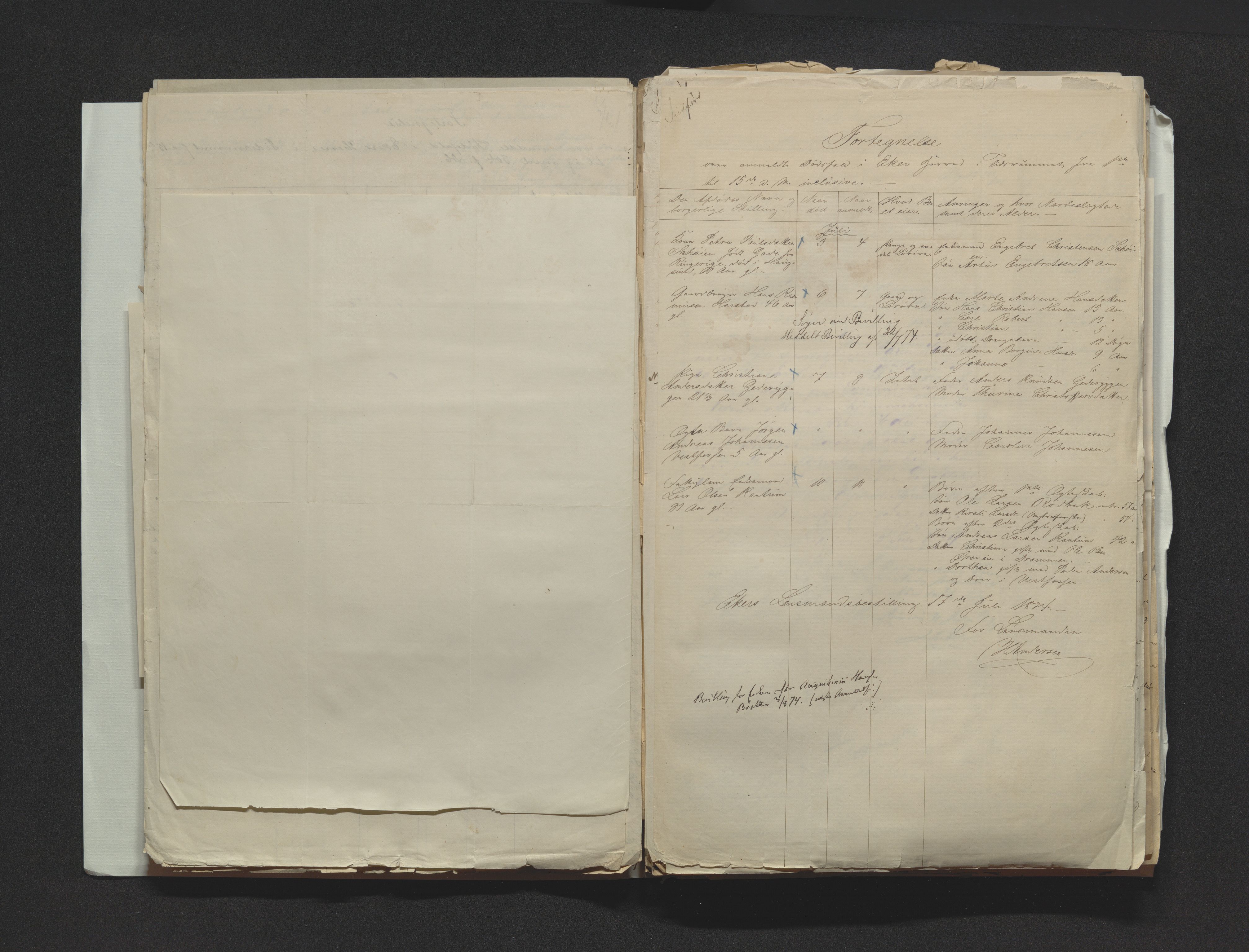 Eiker, Modum og Sigdal sorenskriveri, AV/SAKO-A-123/H/Ha/Hab/L0014: Dødsfallsmeldinger, 1874-1877, s. 30