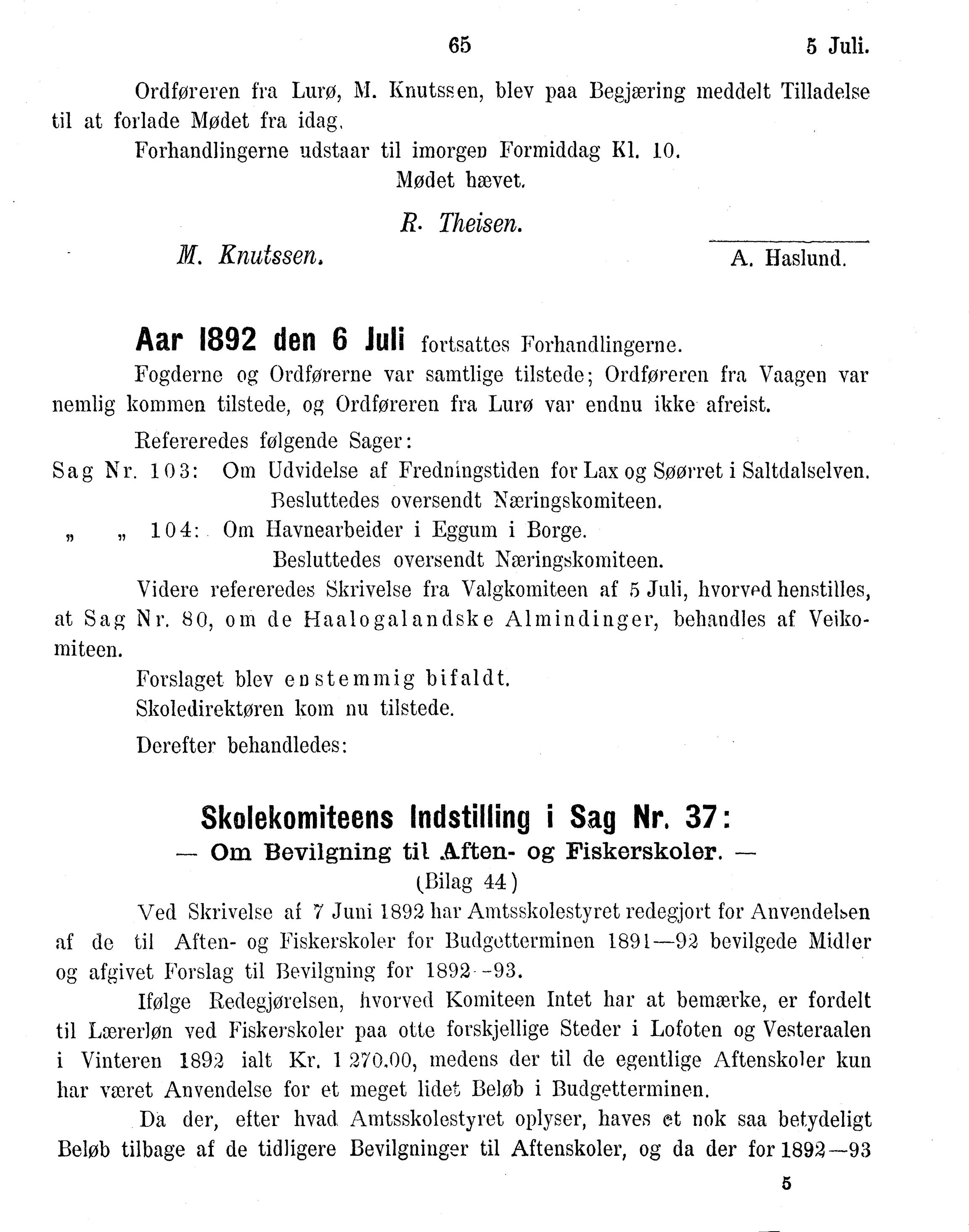 Nordland Fylkeskommune. Fylkestinget, AIN/NFK-17/176/A/Ac/L0016: Fylkestingsforhandlinger 1891-1893, 1891-1893, s. 65