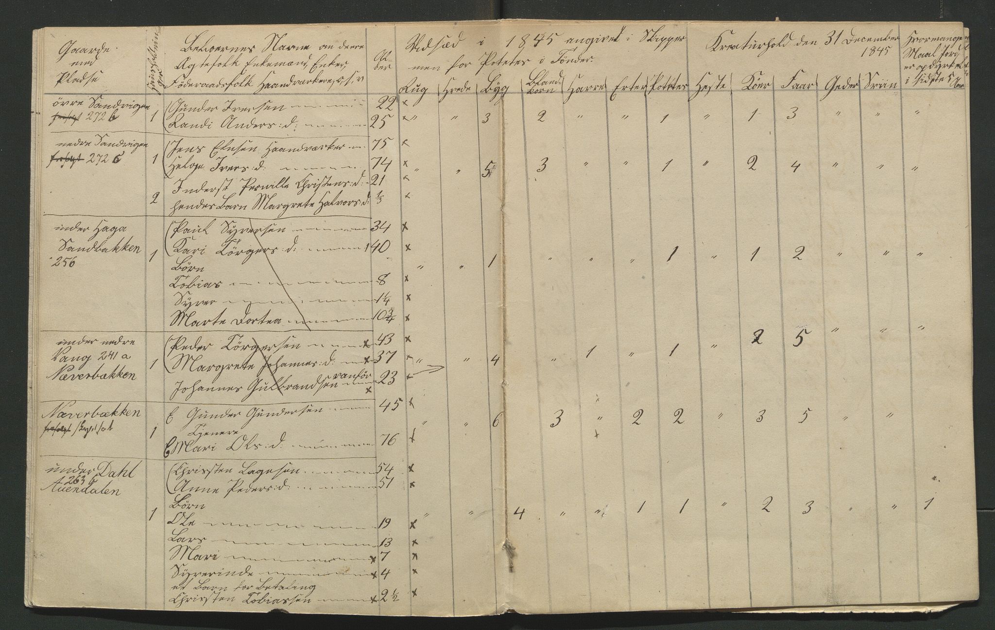 SAH, Lokaliasamlingen for Hedmark og Oppland fylker m.v.: Folketellingen 1845 for Jevnaker prestegjeld, 1845, s. 149