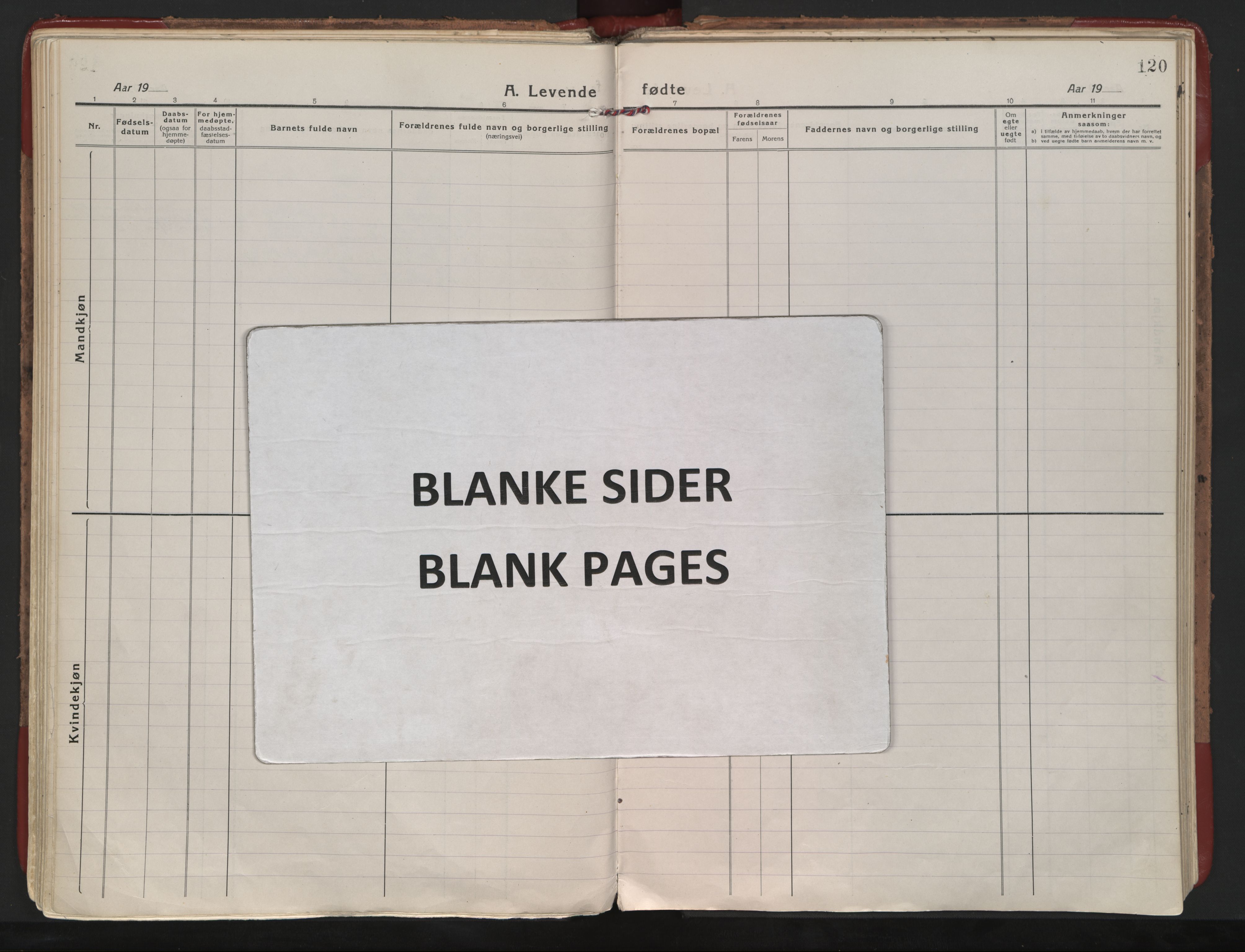 Ministerialprotokoller, klokkerbøker og fødselsregistre - Nordland, AV/SAT-A-1459/801/L0017: Ministerialbok nr. 801A17, 1917-1930, s. 120